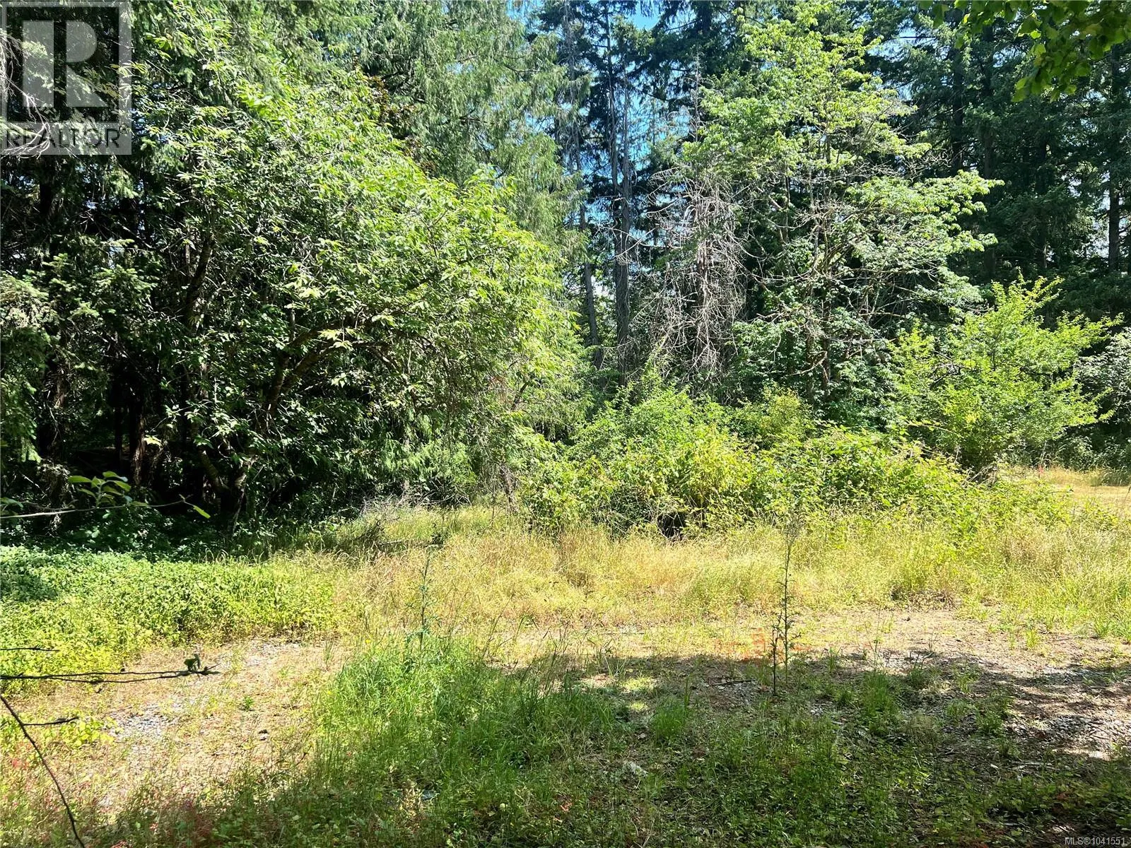 Photo 4 of 6 at Lot B Chemainus Road