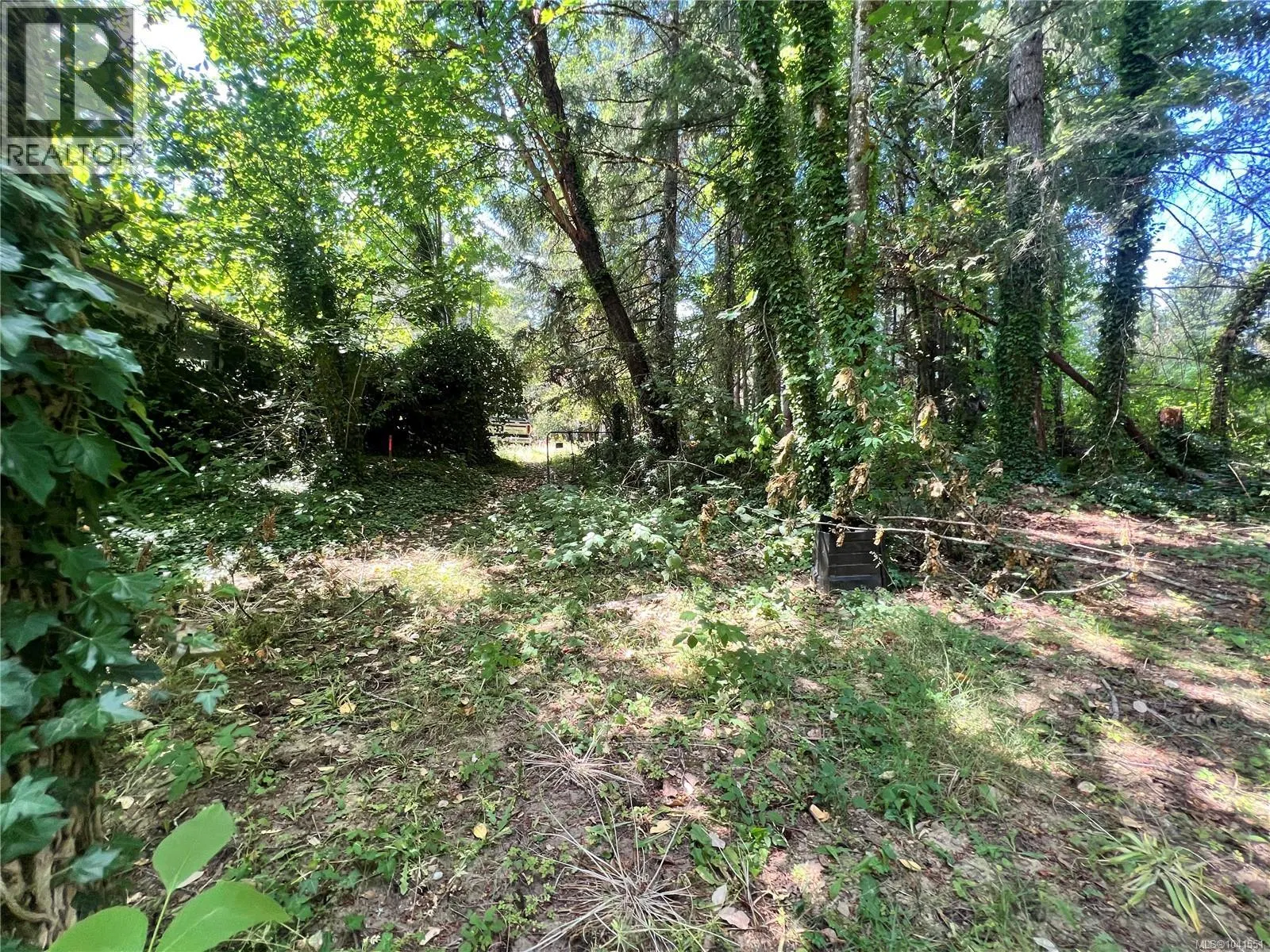 Photo 5 of 6 at Lot B Chemainus Road