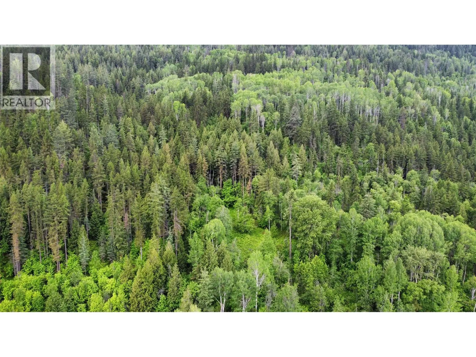 Lot 8 Arrow Lakes Drive