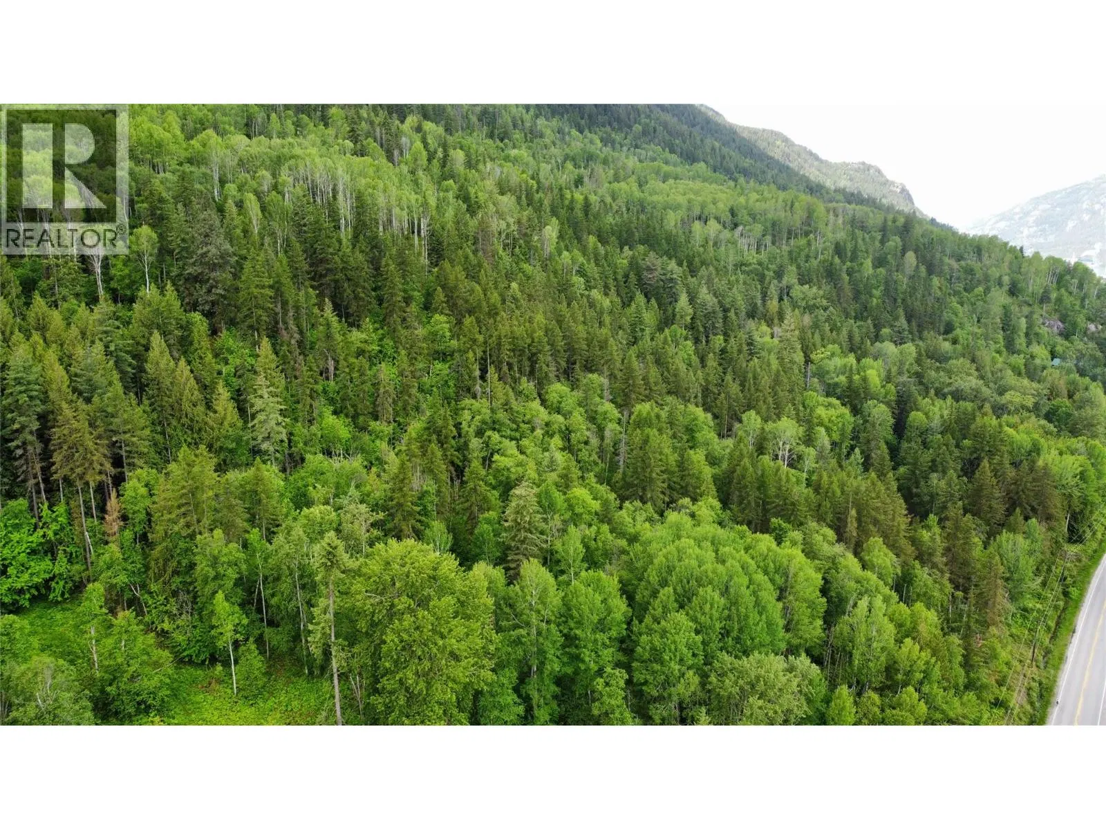 Photo 3 of 7 at Lot 8 Arrow Lakes Drive