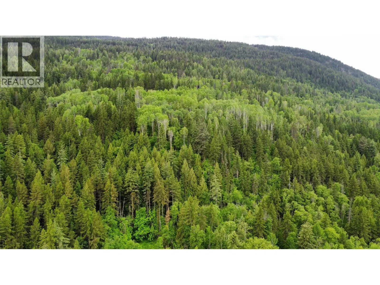 Photo 4 of 7 at Lot 8 Arrow Lakes Drive