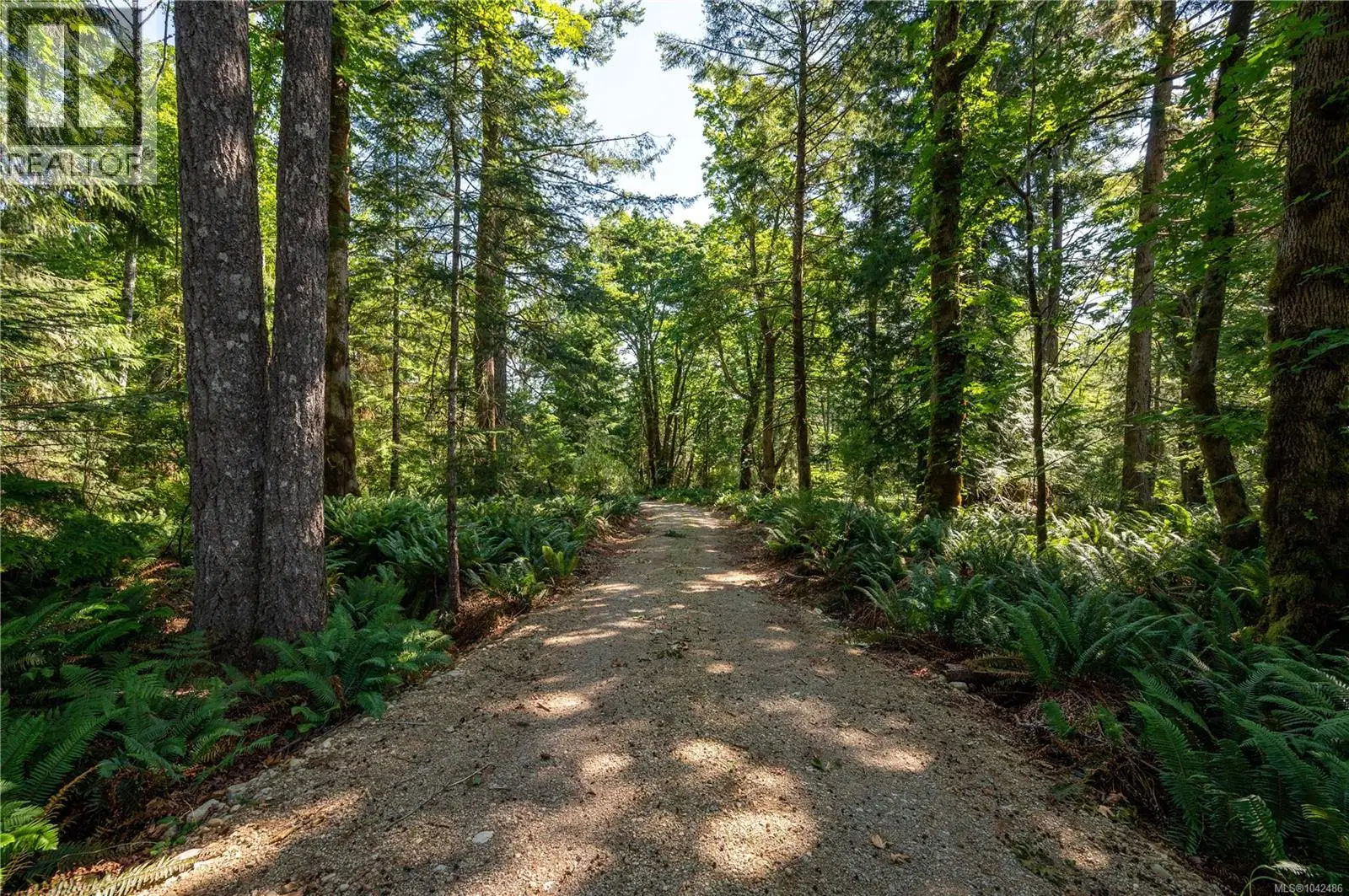 926 Fern Hill Lane