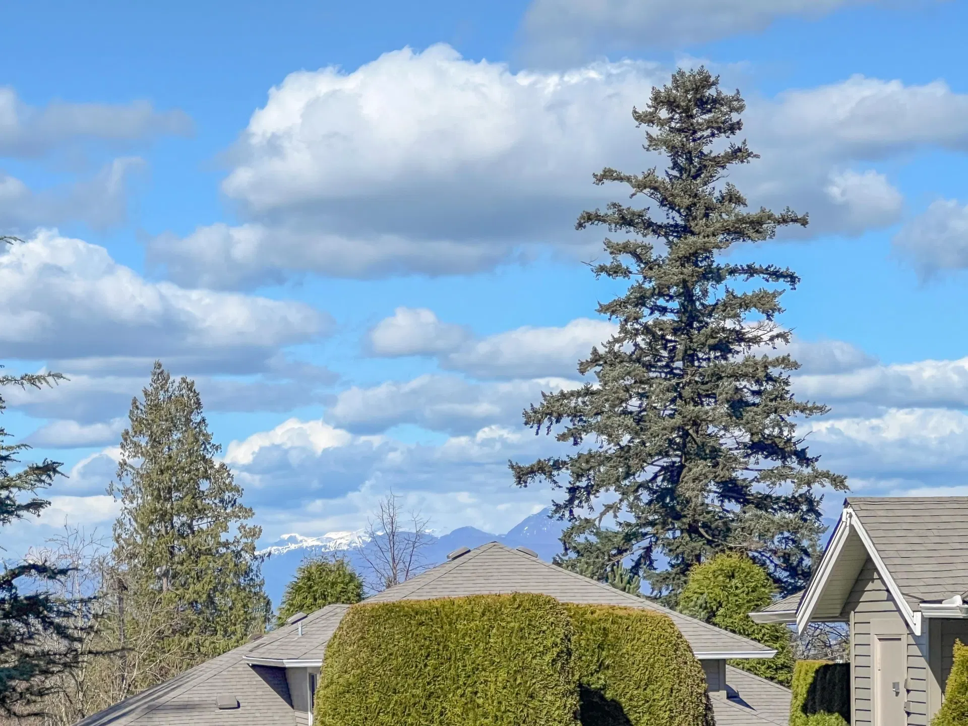 Photo 2 of 37 at #16 – 2672 151 Street