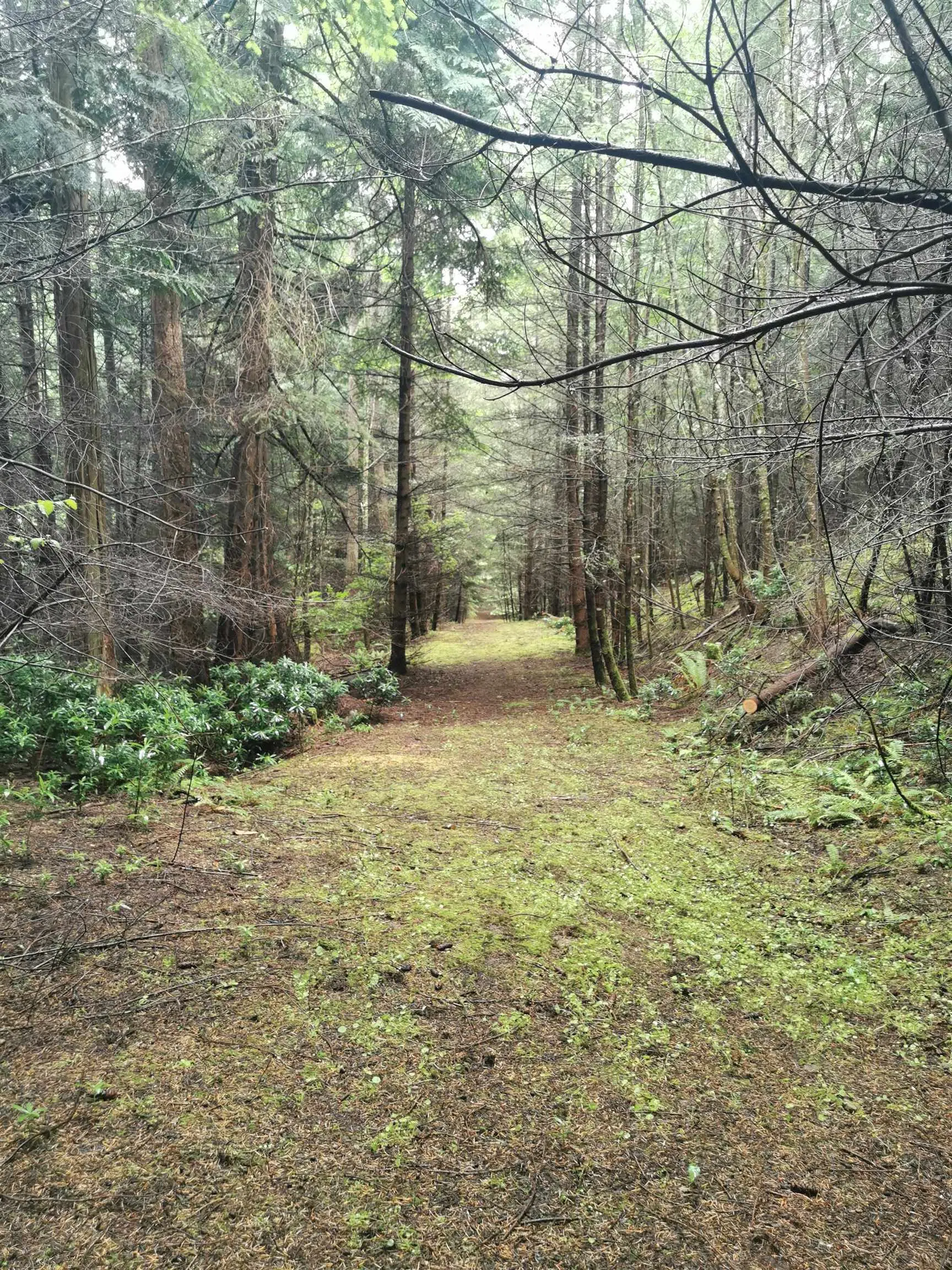 Photo 1 of 18 at 706 Fernhill Road