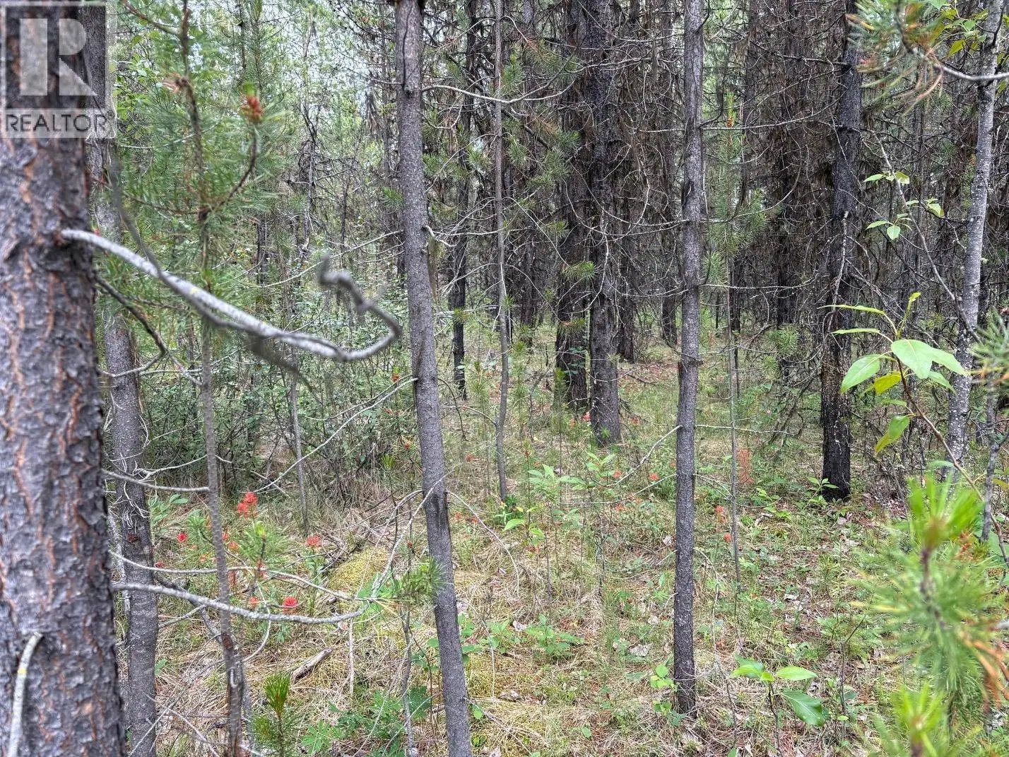 LOT 3 HORSE LAKE Road