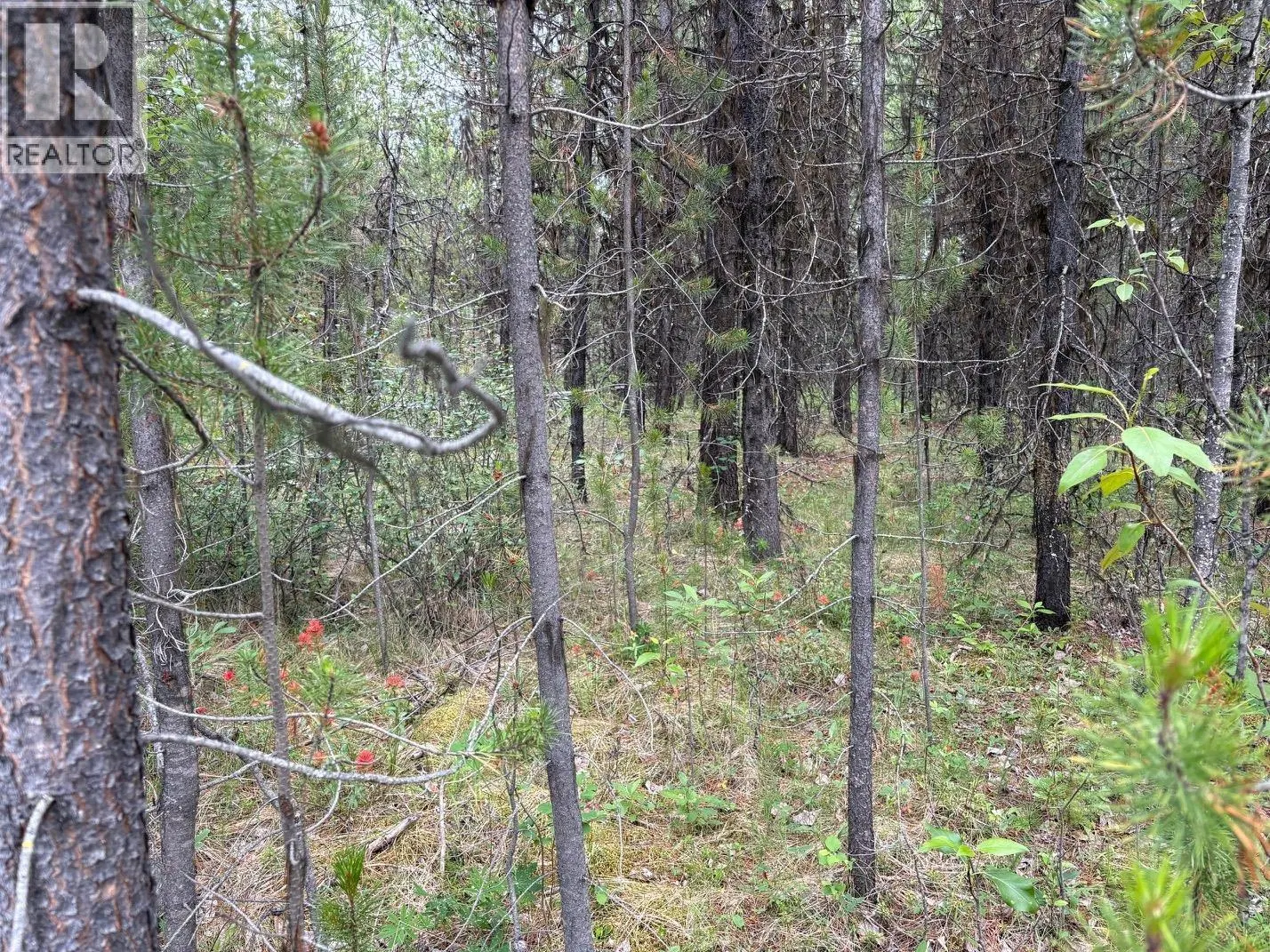 Photo 1 of 8 at LOT 3 HORSE LAKE Road