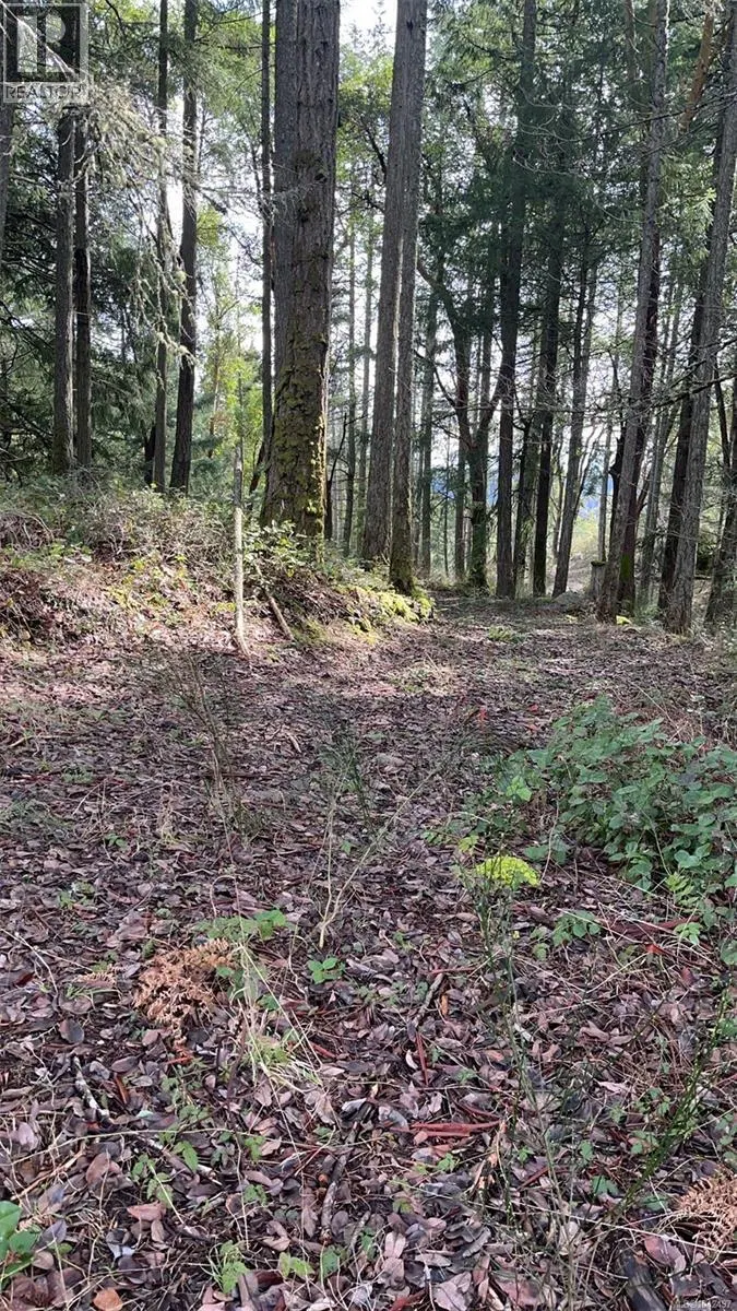 Photo 1 of 5 at Lot A Ebadora Lane