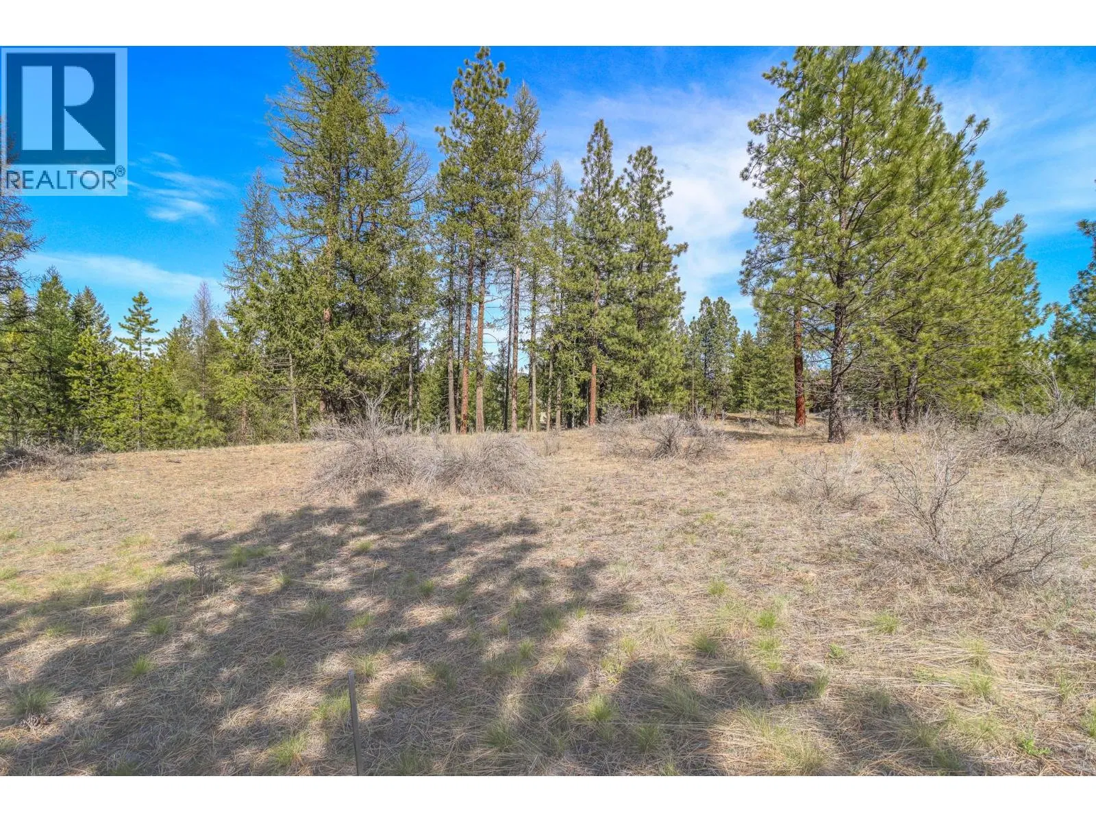 Photo 1 of 13 at 241 CORRAL Boulevard