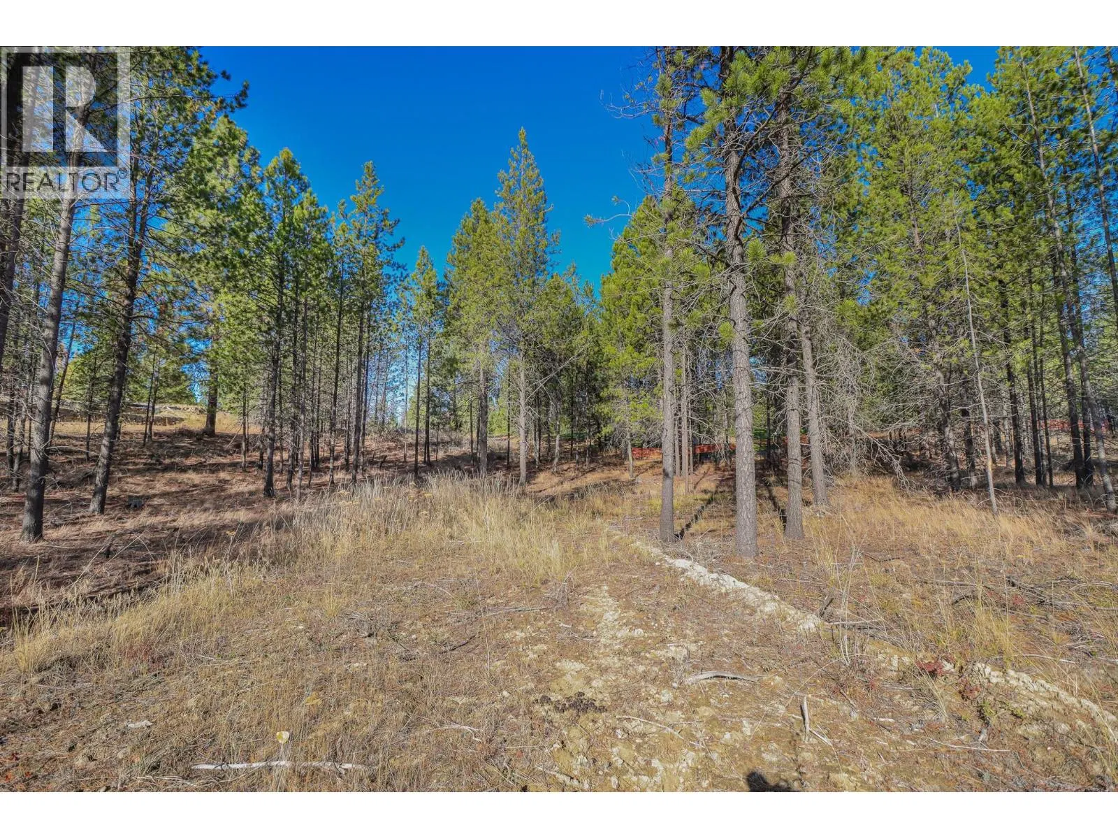Photo 1 of 10 at 105 CORRAL Boulevard