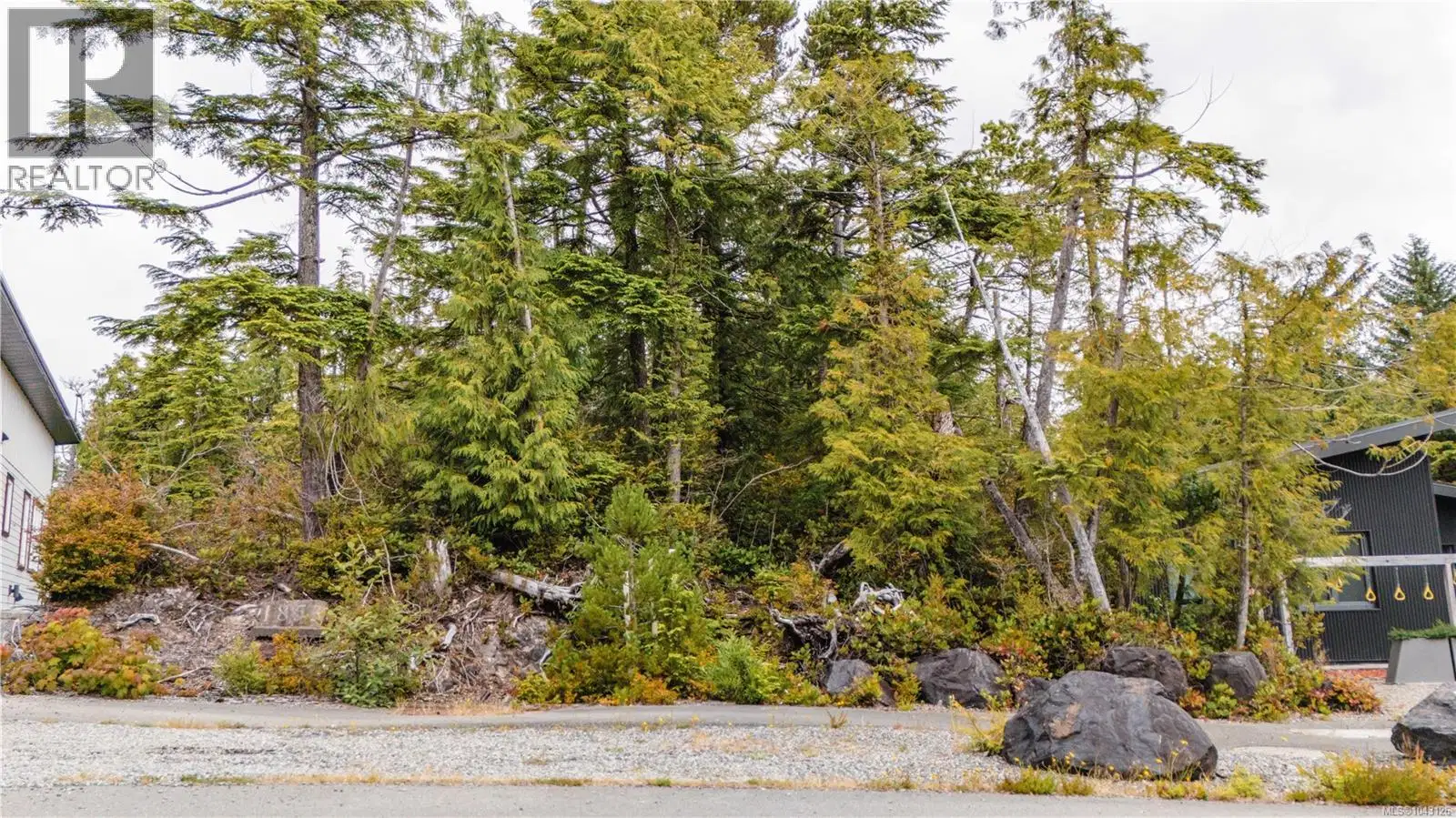 Lot 50 Cedar Grove