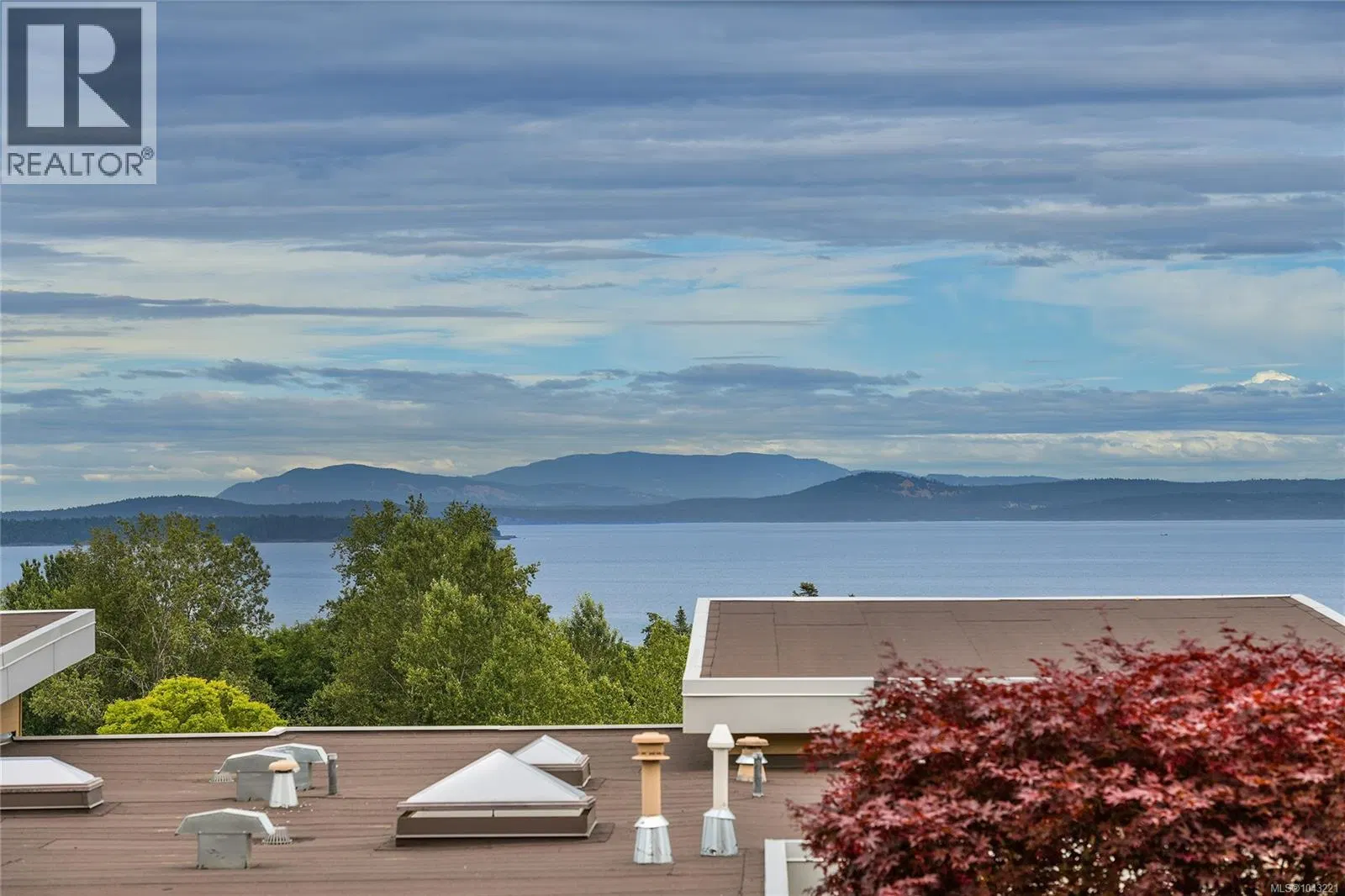 Photo 4 of 58 at 763 Sayward Hill Terrace