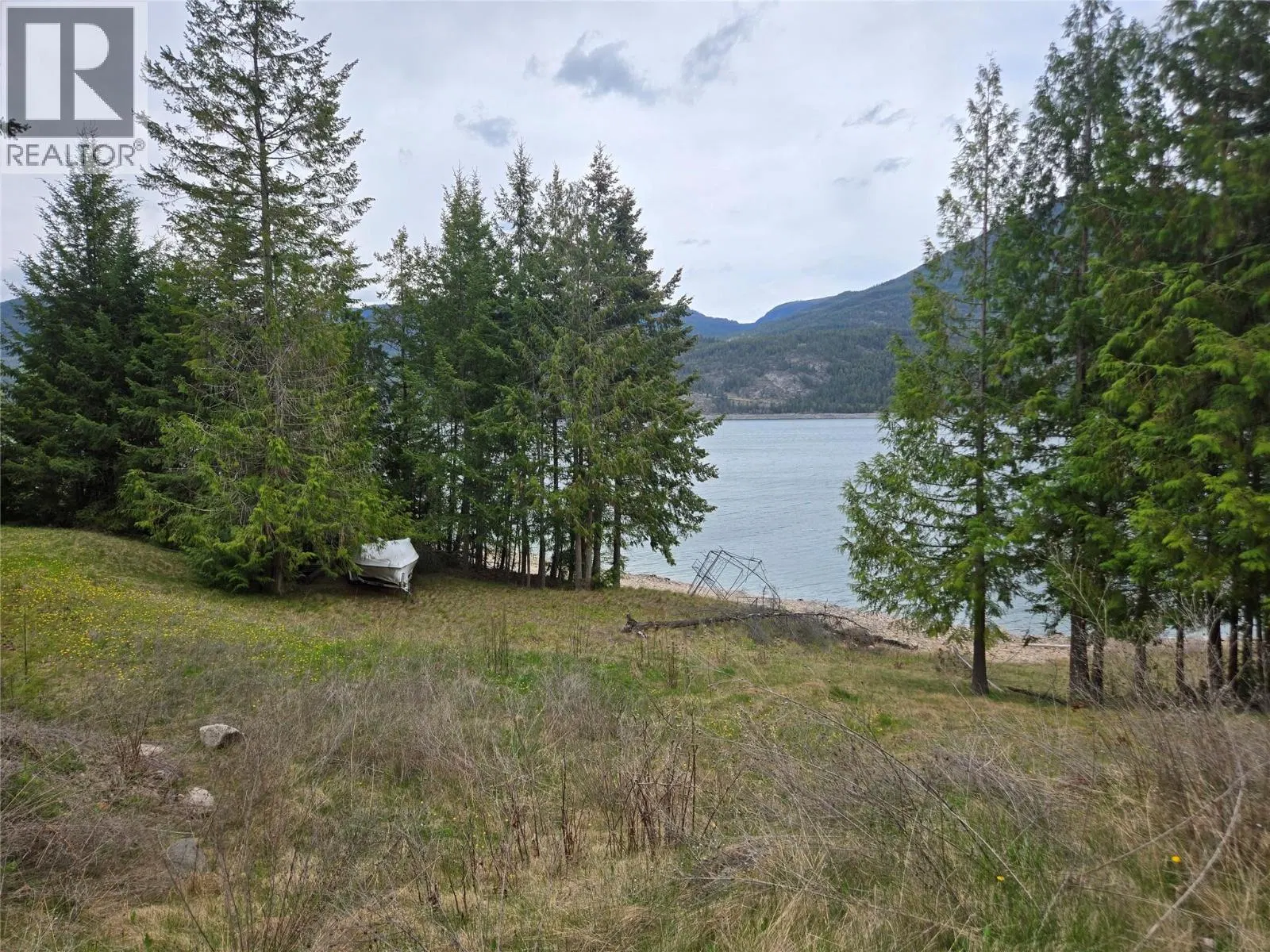 Photo 2 of 23 at 180 Lower Arrow Lake