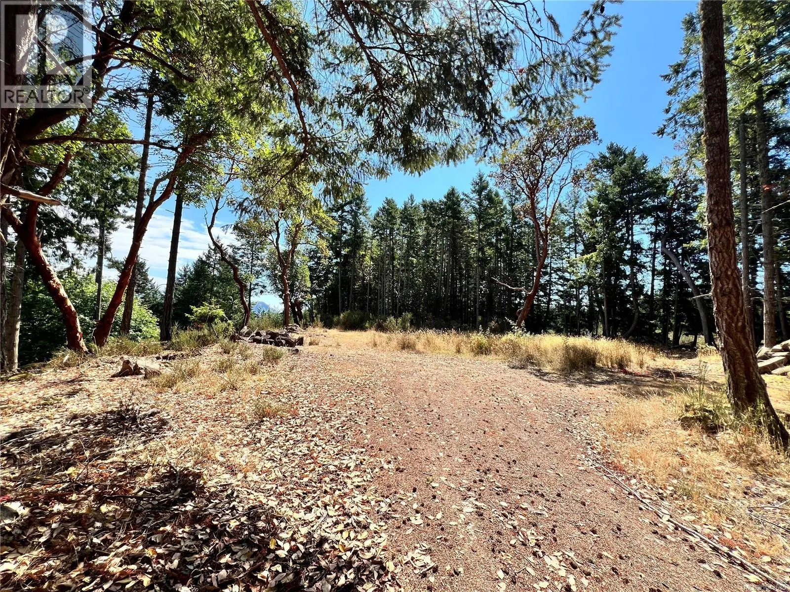Photo 1 of 64 at 131 Rainforest Road