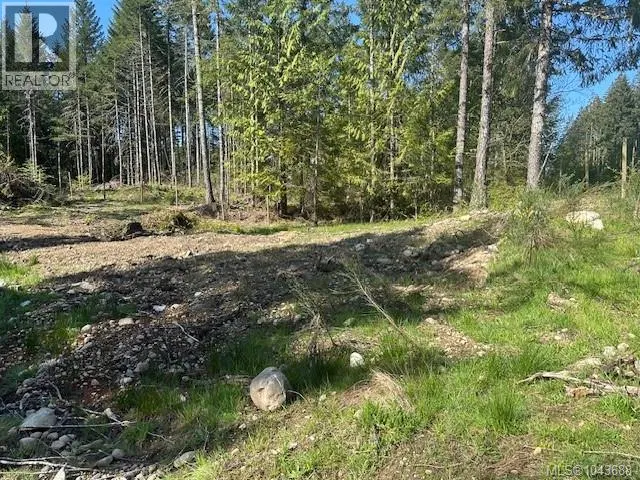Photo 4 of 5 at Lot 4 Appaloosa Way
