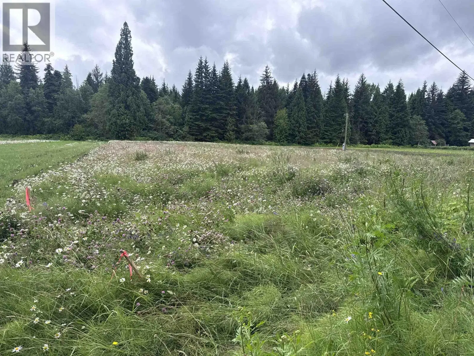 LOT F OLD REMO Road
