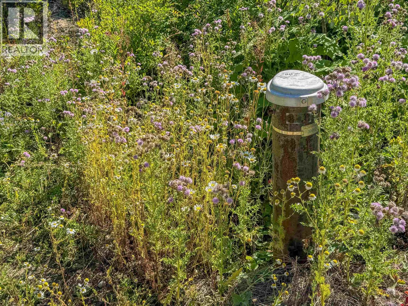 Photo 5 of 9 at LOT – A YELICH Road