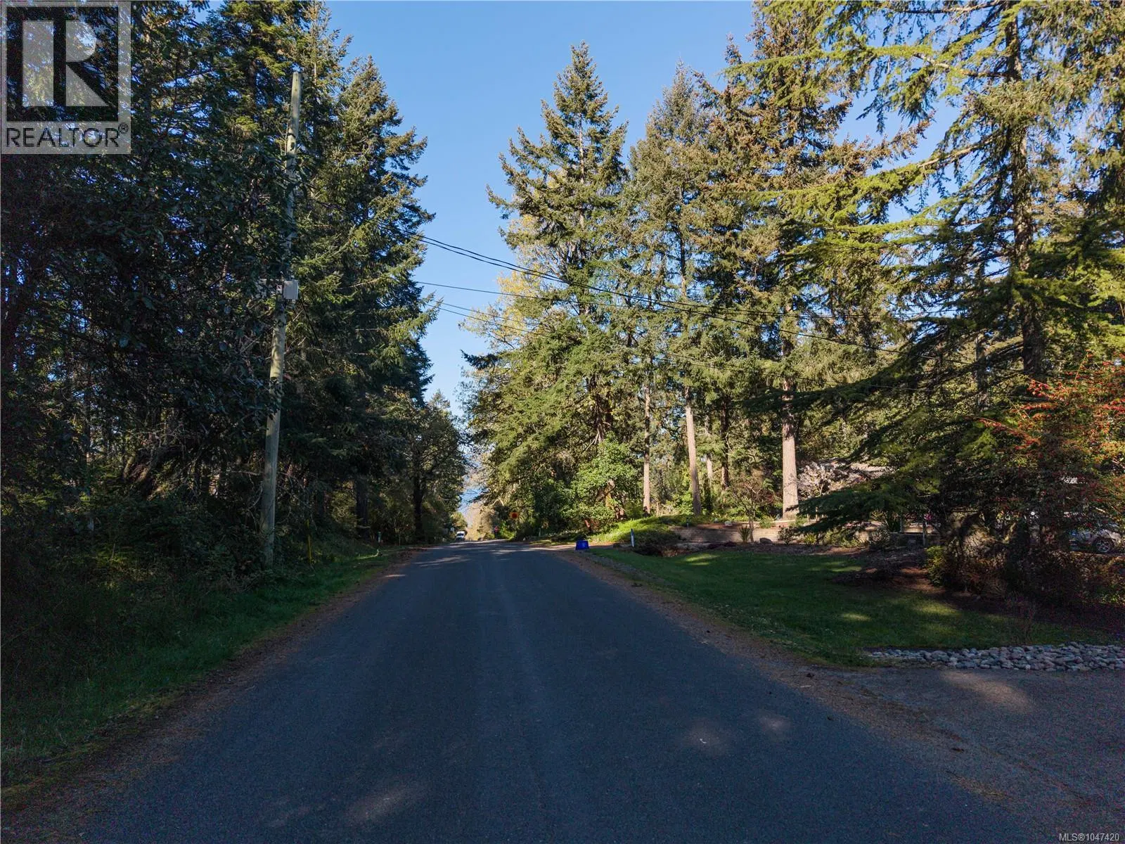 Photo 4 of 11 at 537 Cromar Road