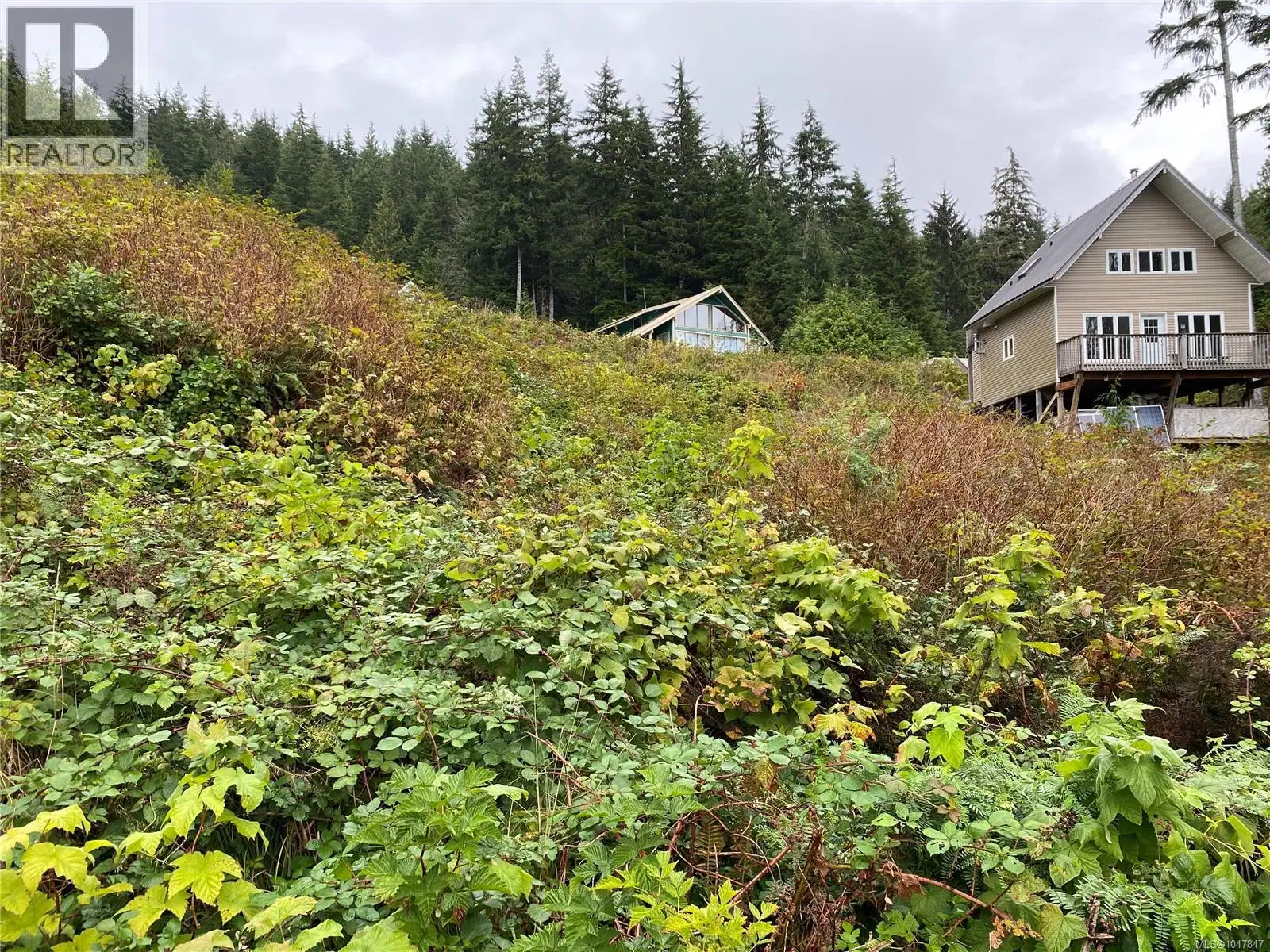 Lt 65 Haggard Cove