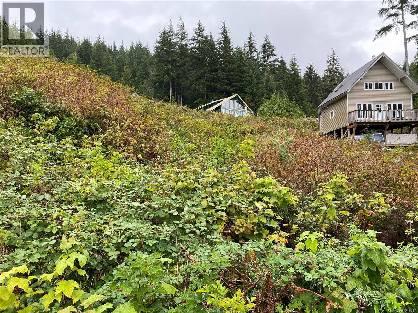 Photo 1 of 19 at Lt 65 Haggard Cove