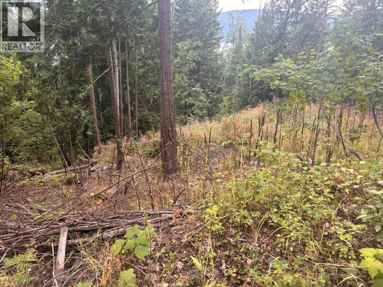 Photo 2 of 6 at Lot 151 Columbia Drive