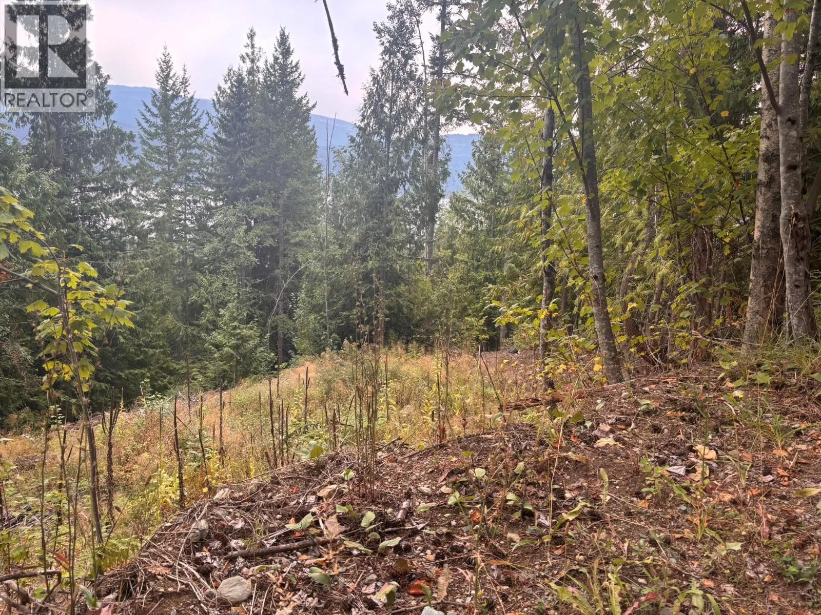 Photo 3 of 6 at Lot 151 Columbia Drive