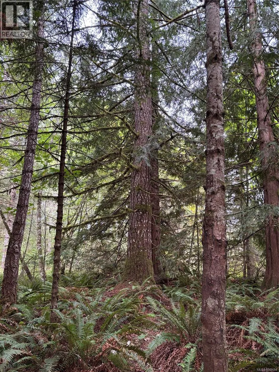 Photo 5 of 10 at lot 23 Pratt Road