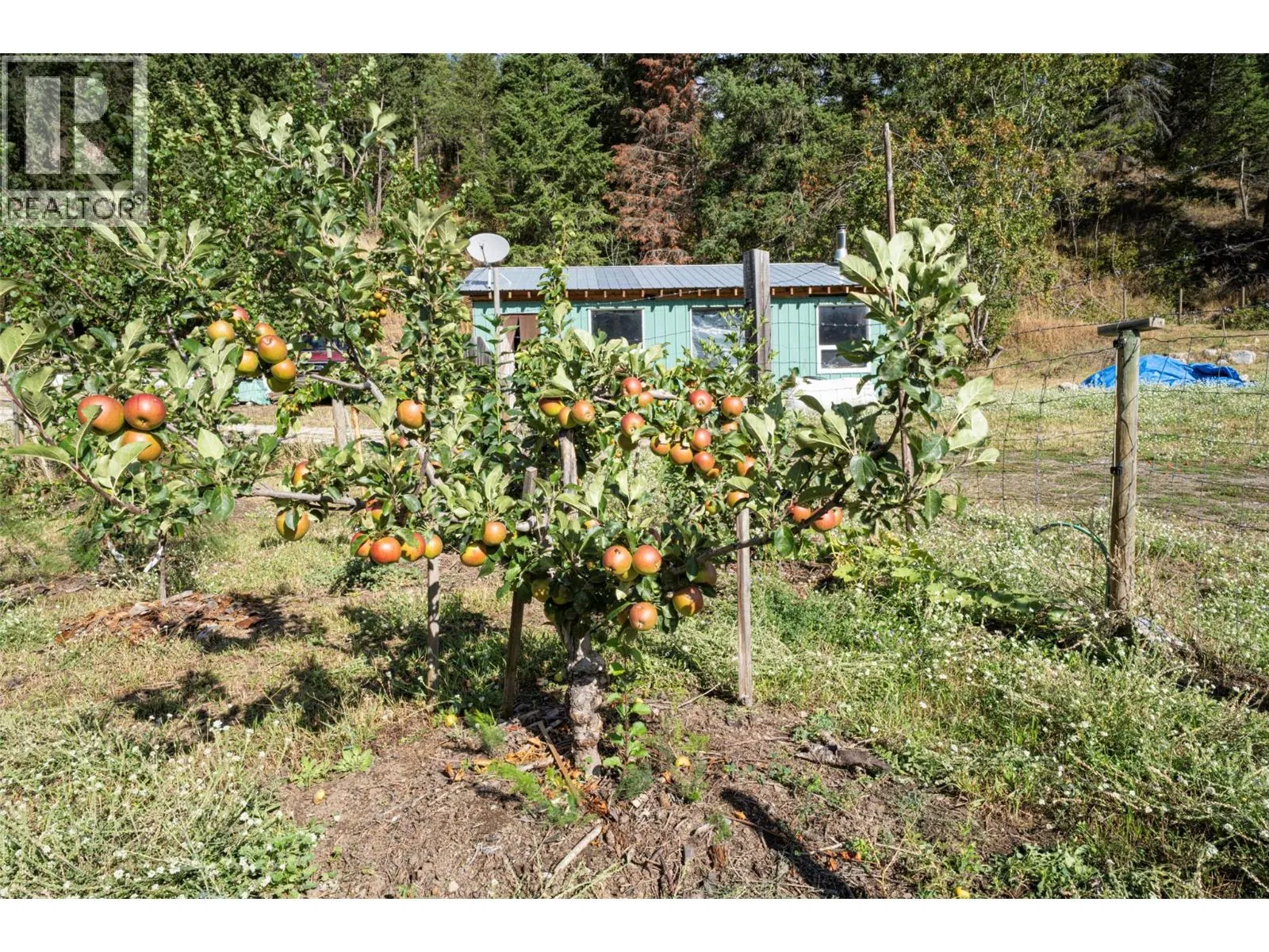 Photo 4 of 50 at 1021 Creighton Valley Road