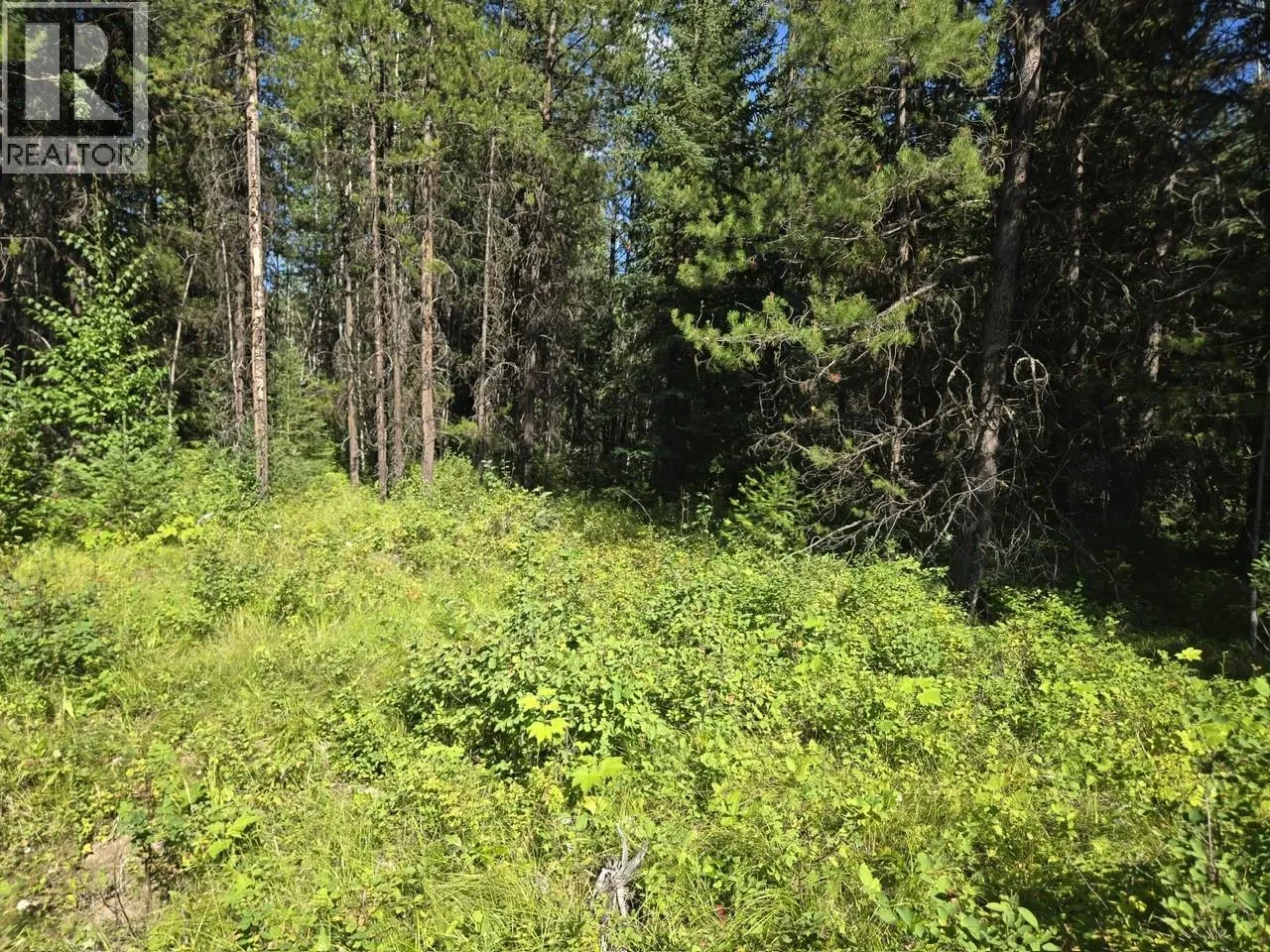 Photo 2 of 28 at 3680 Miller Lake FSR Forest