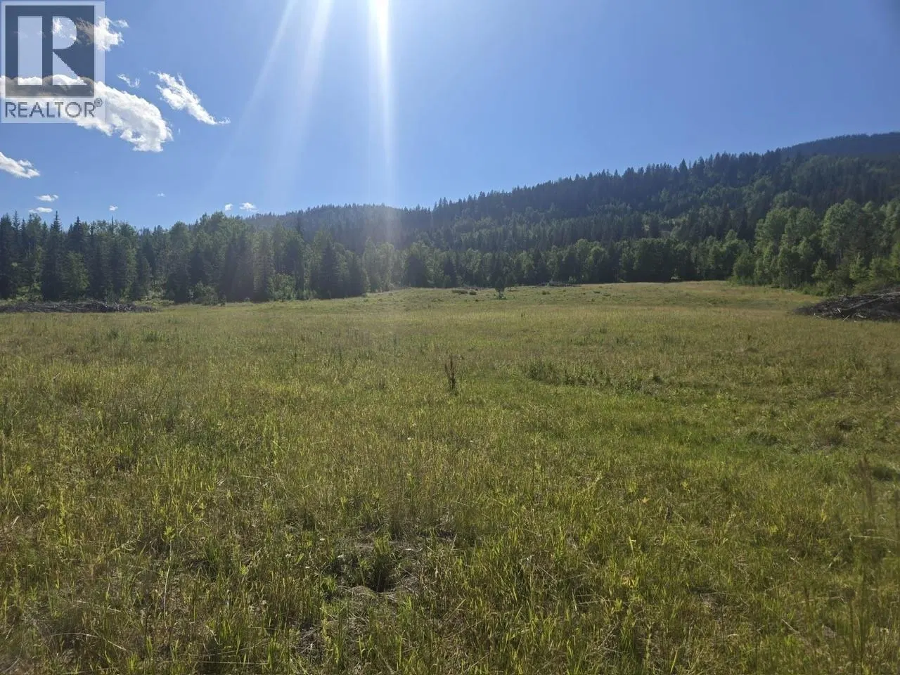 Photo 4 of 28 at 3680 Miller Lake FSR Forest