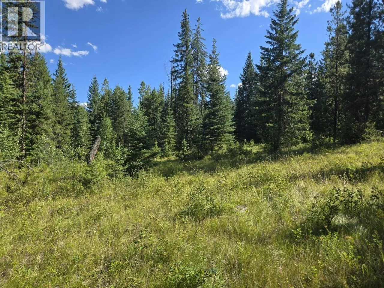 Photo 5 of 28 at 3680 Miller Lake FSR Forest