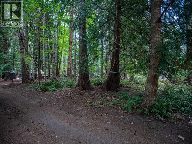 Savary Island