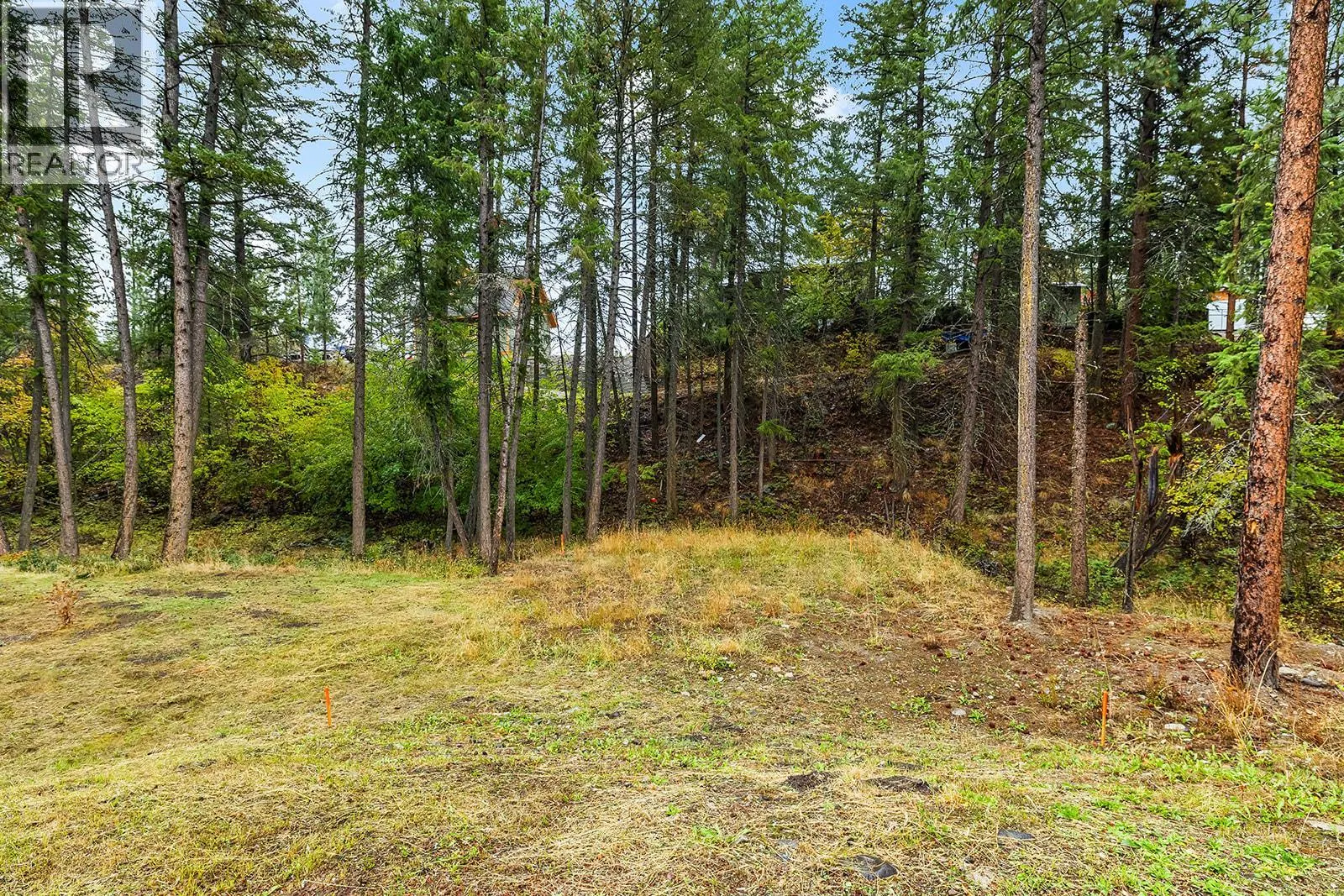 Photo 5 of 45 at 7867 Alpine Road