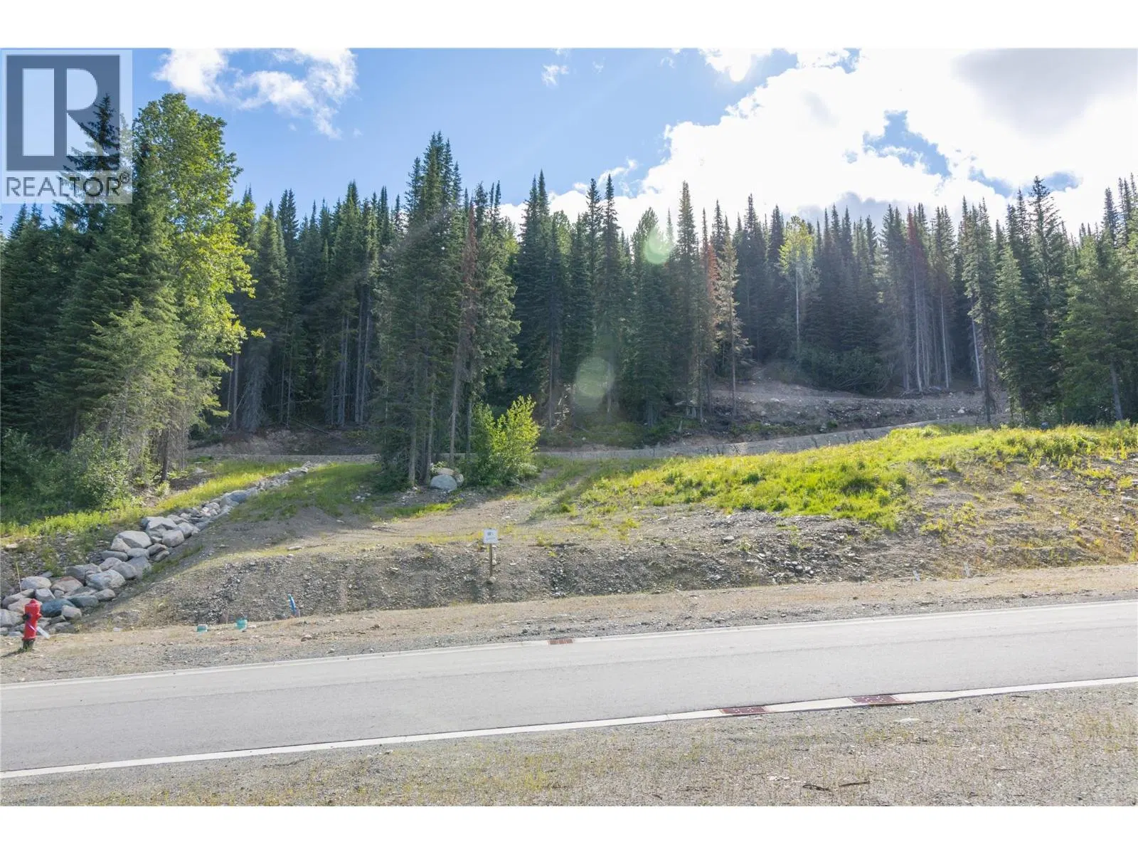 Photo 4 of 33 at LOT 11 MCGILLIVRAY LAKE Drive