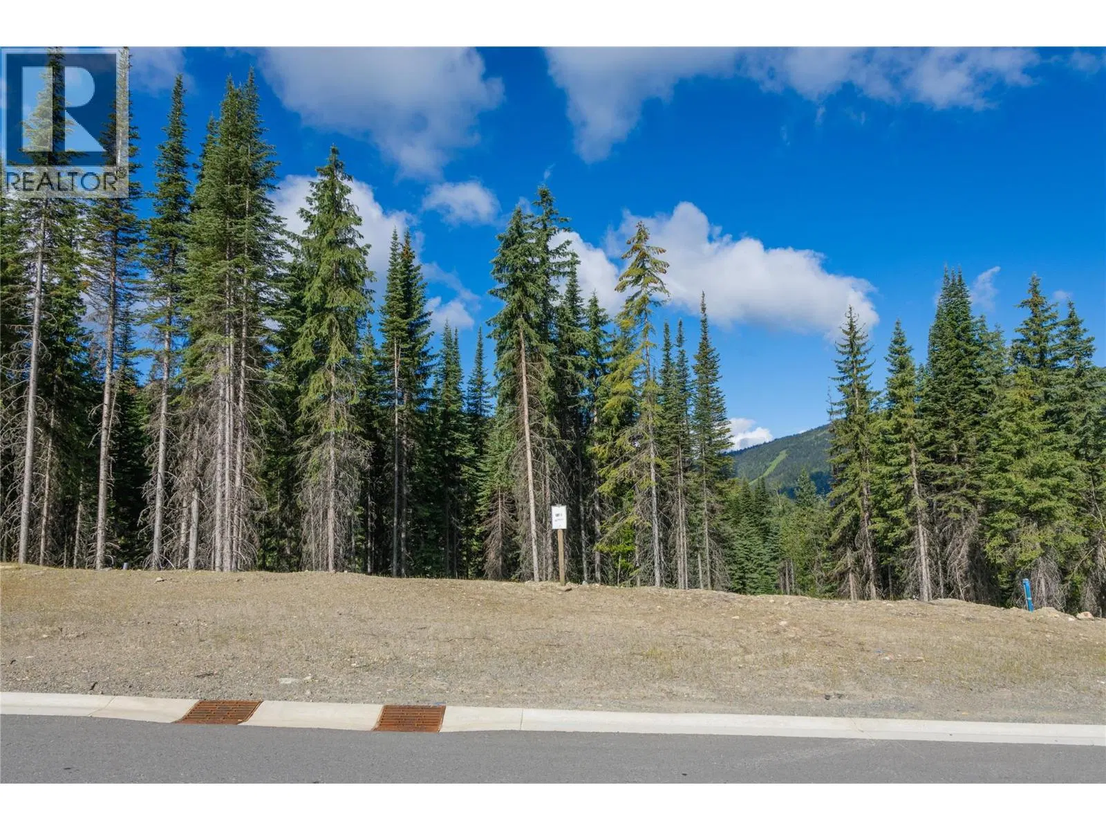 Photo 5 of 33 at LOT 11 MCGILLIVRAY LAKE Drive
