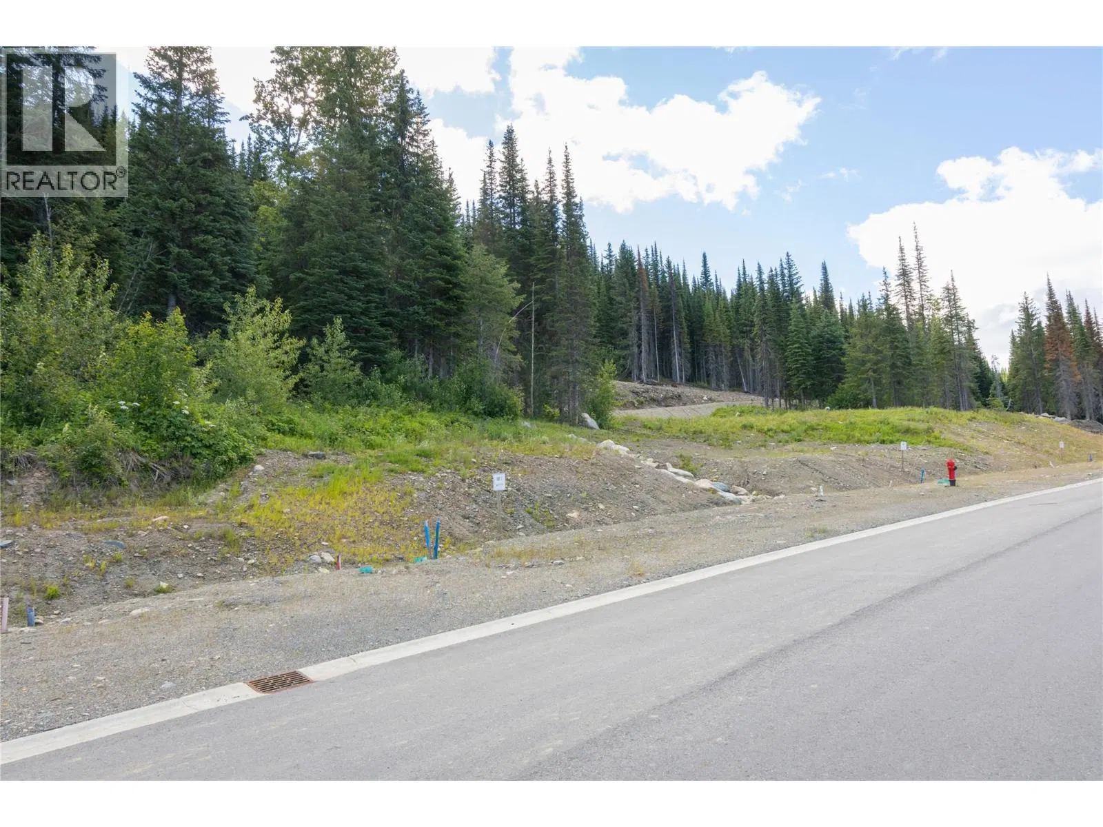Photo 2 of 33 at LOT 3 MCGILLIVRAY LAKE Drive