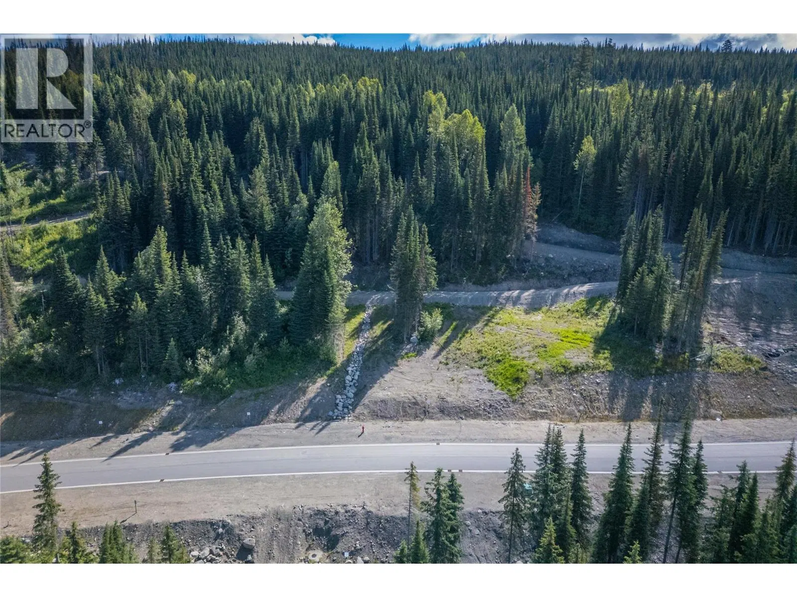 Photo 3 of 33 at LOT 3 MCGILLIVRAY LAKE Drive