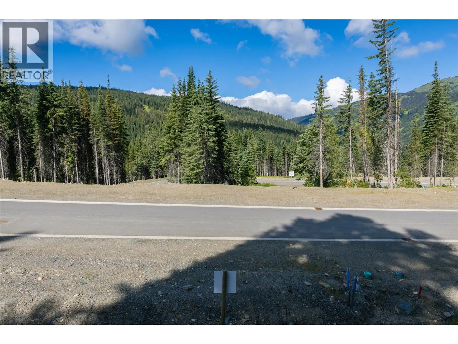 Photo 4 of 33 at LOT 3 MCGILLIVRAY LAKE Drive