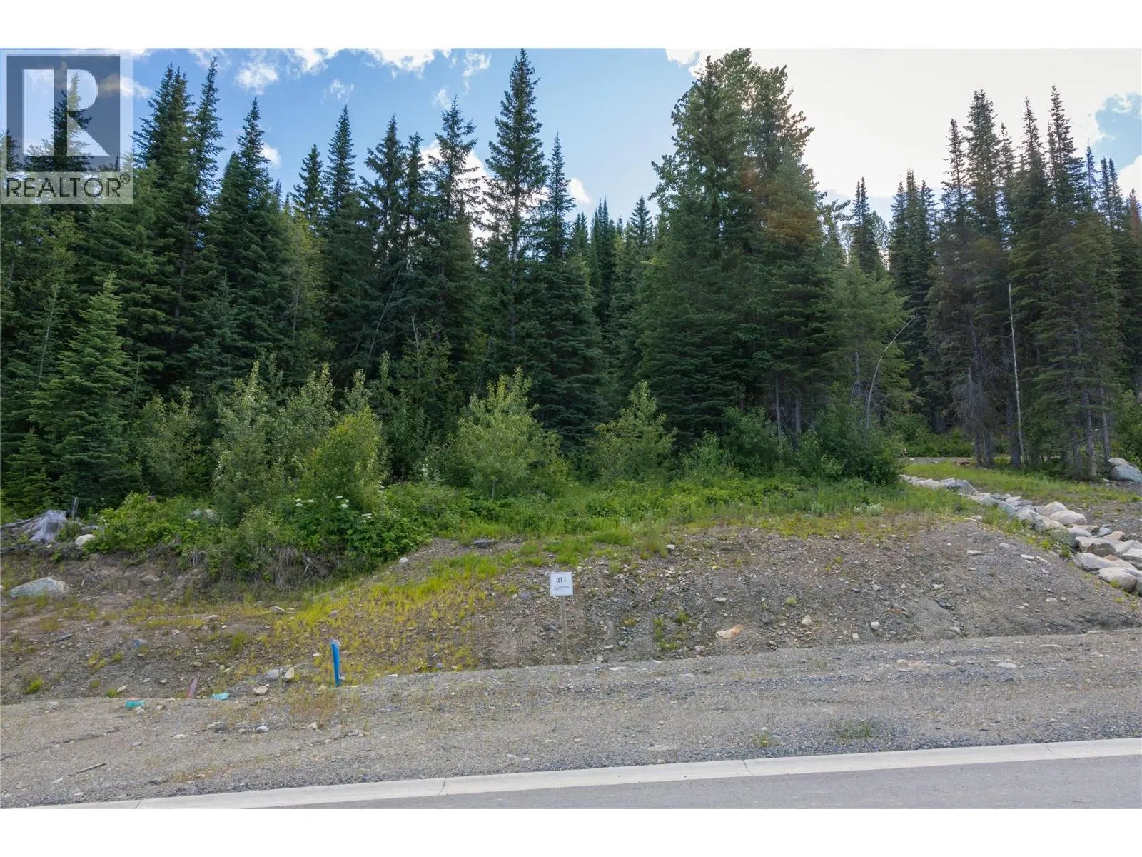 Photo 5 of 33 at LOT 3 MCGILLIVRAY LAKE Drive