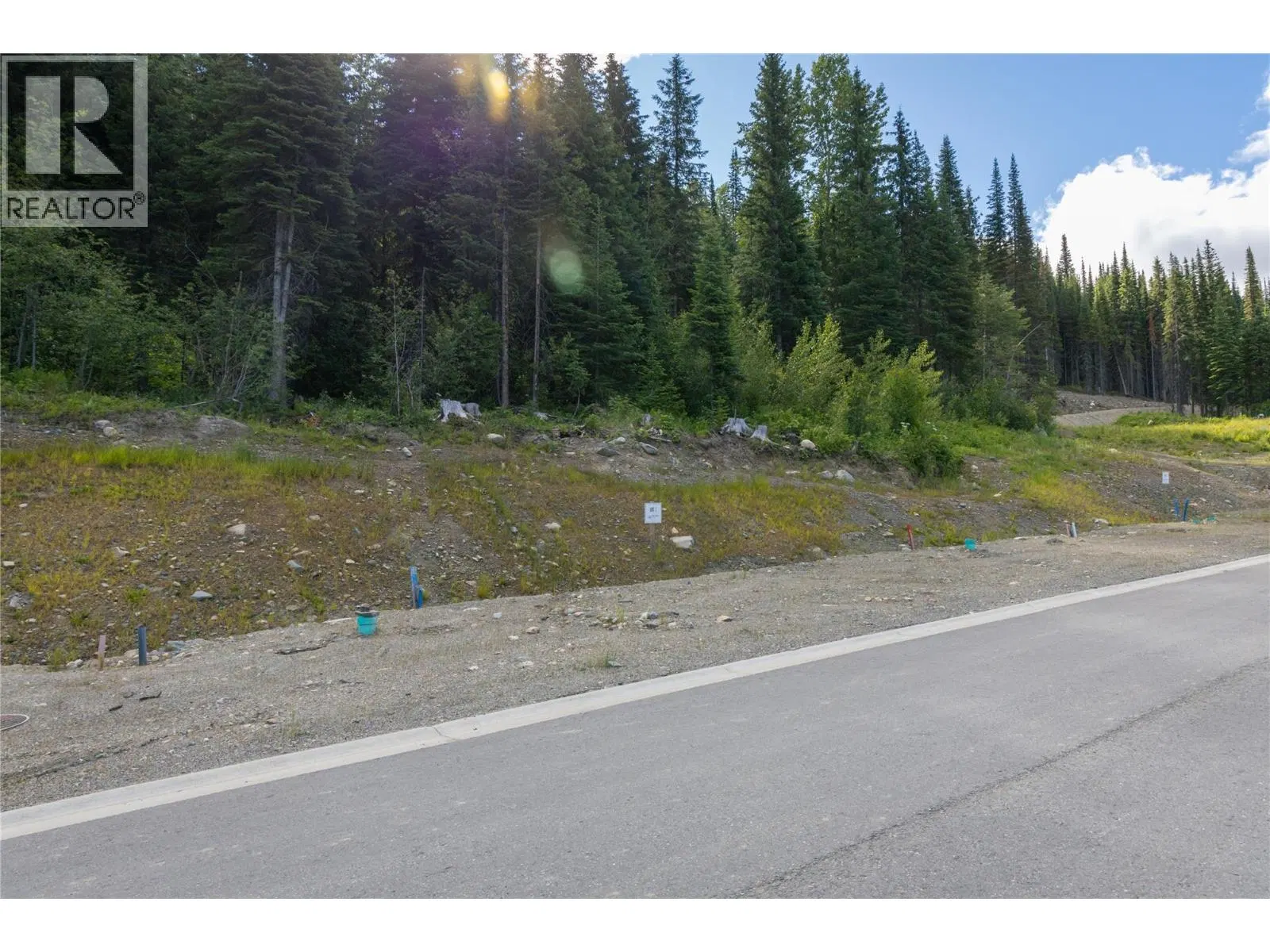 Photo 3 of 33 at LOT 2 MCGILLIVRAY LAKE Drive