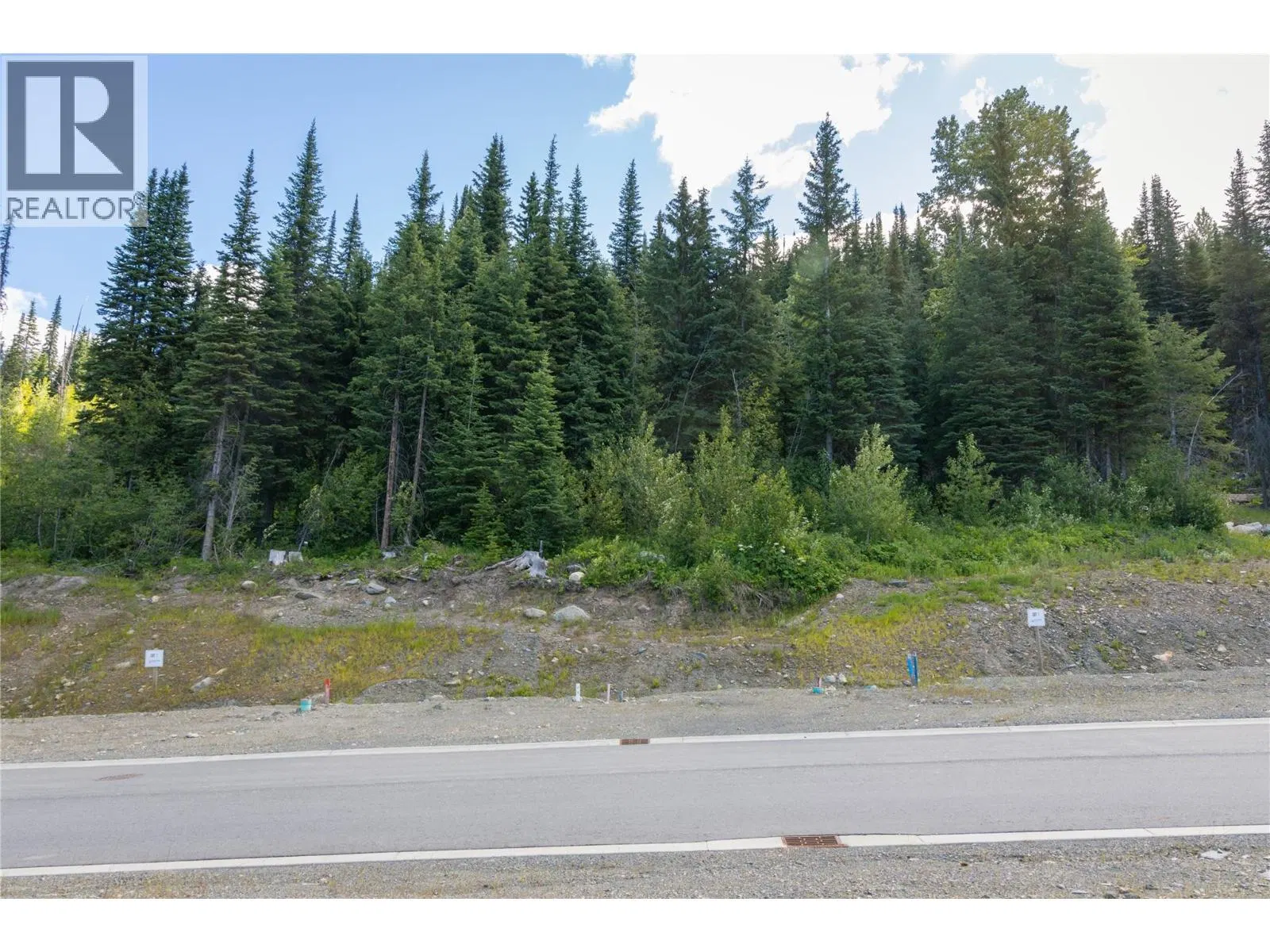 Photo 4 of 33 at LOT 12 MCGILLIVRAY LAKE Drive