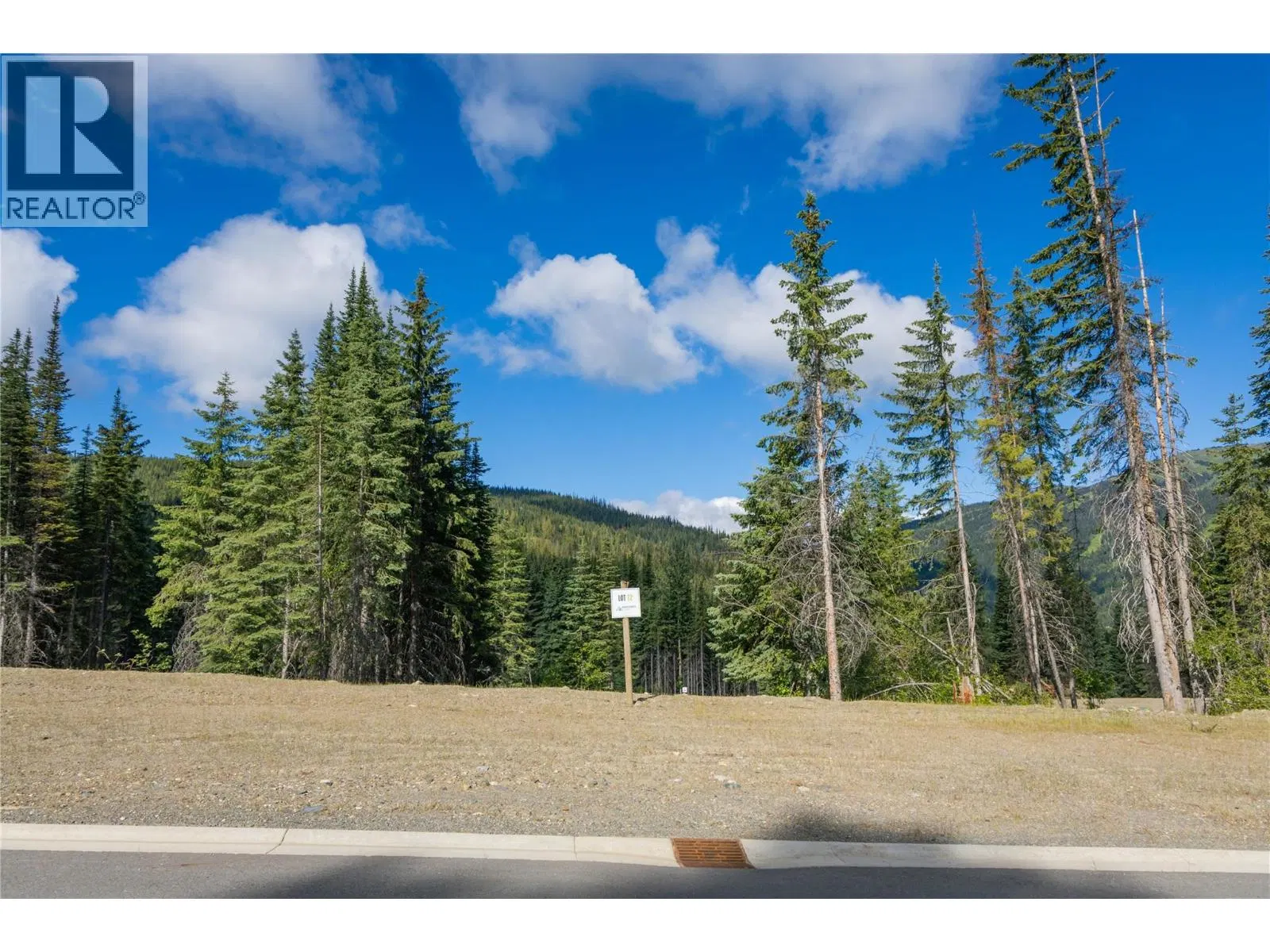 Photo 5 of 33 at LOT 12 MCGILLIVRAY LAKE Drive