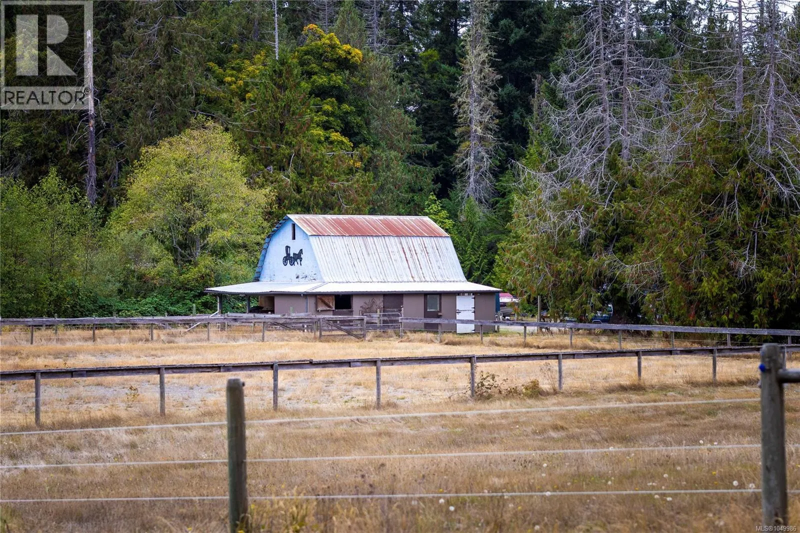Photo 4 of 95 at #899 – 899,875 Andreef Road