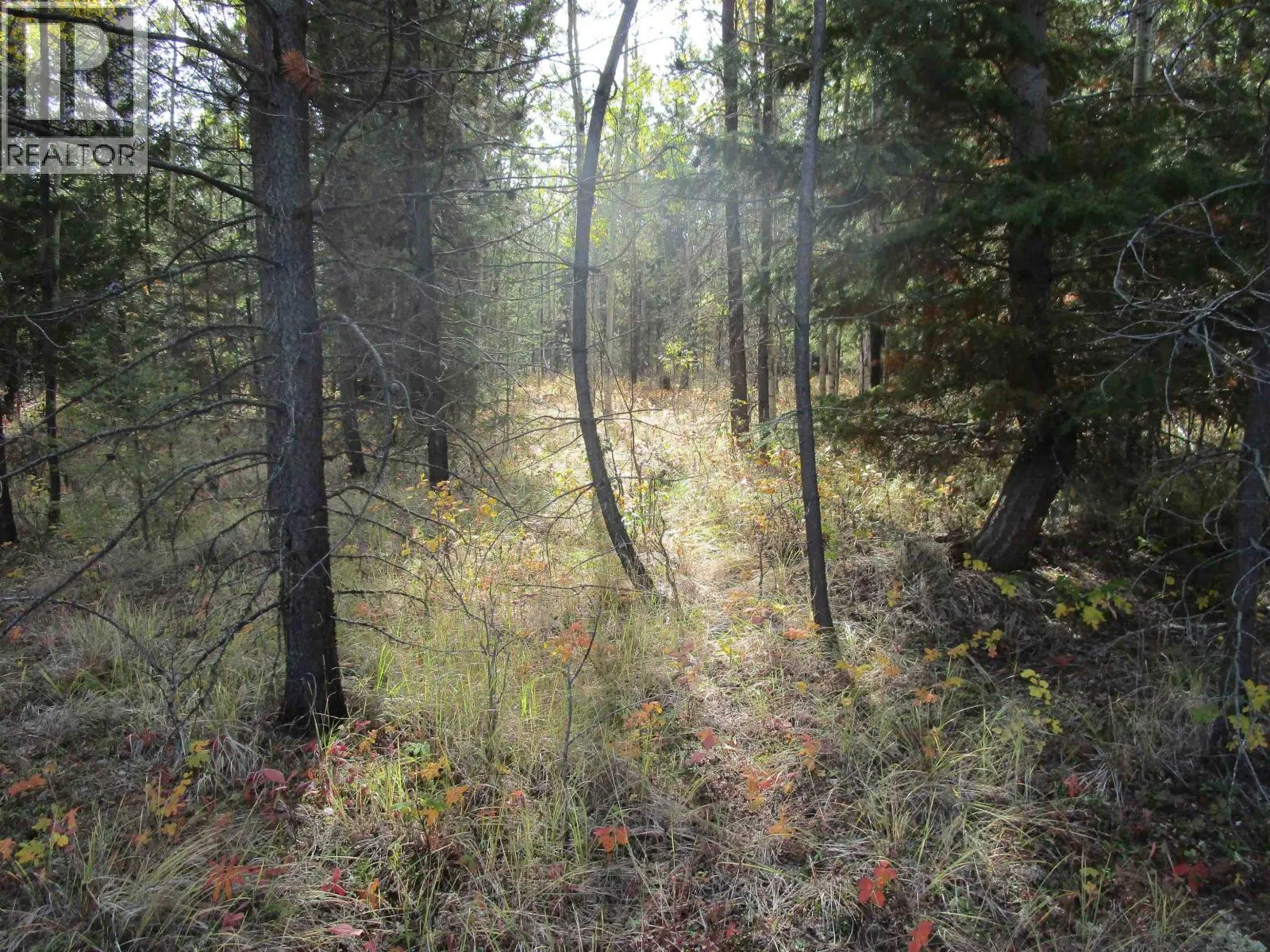 Photo 4 of 11 at LOT – 4 FOOTHILLS Road