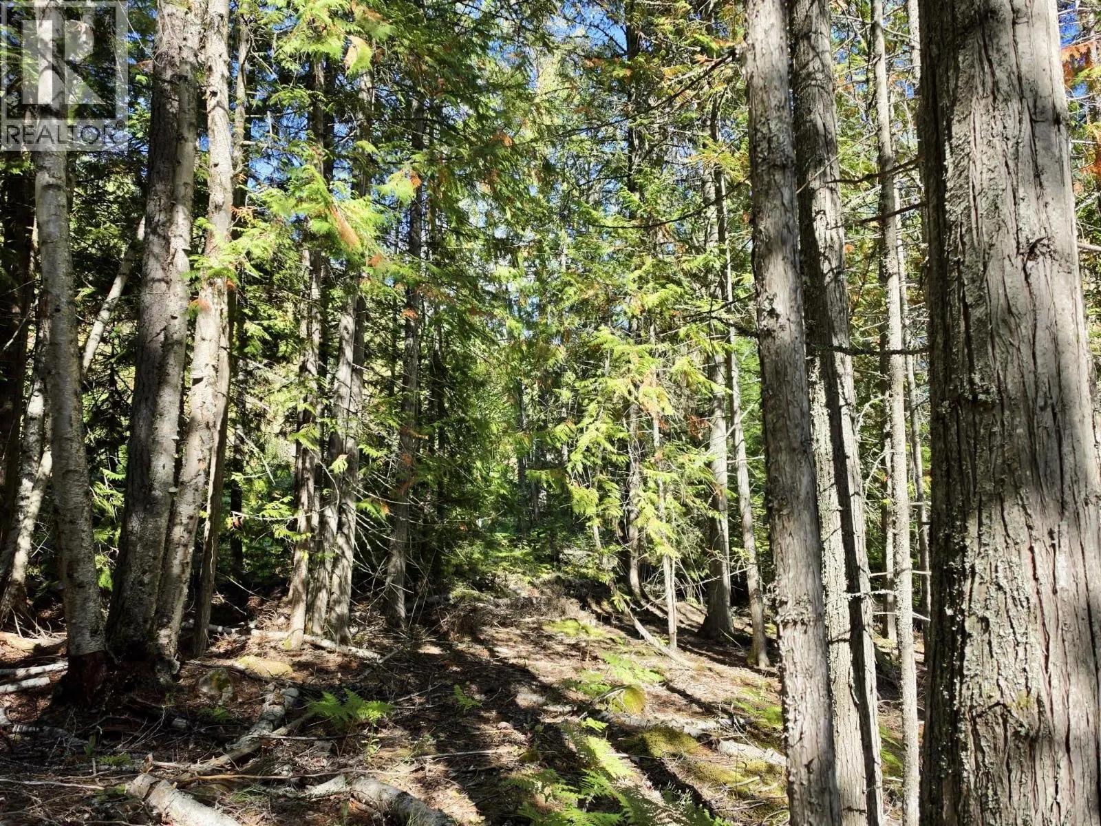 Photo 5 of 11 at Lots A & B Kane Road