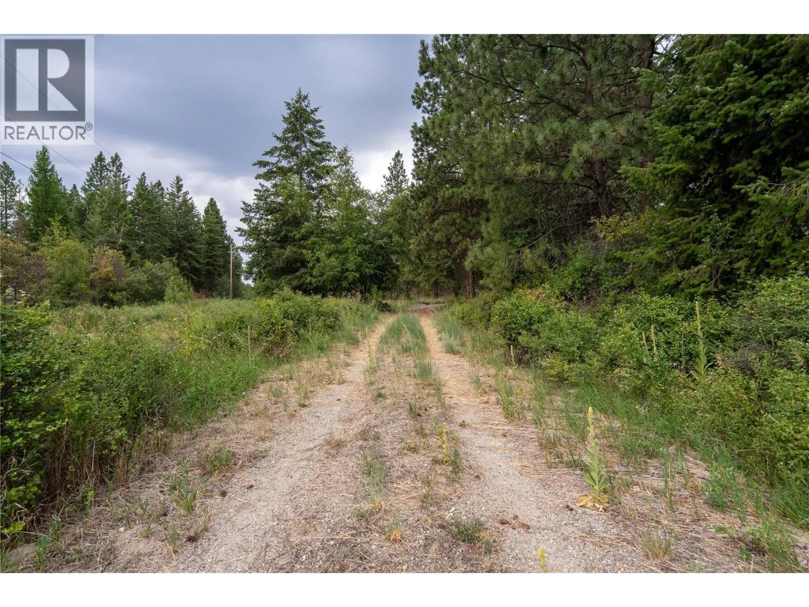 Photo 4 of 22 at LOT B Grizzly Place