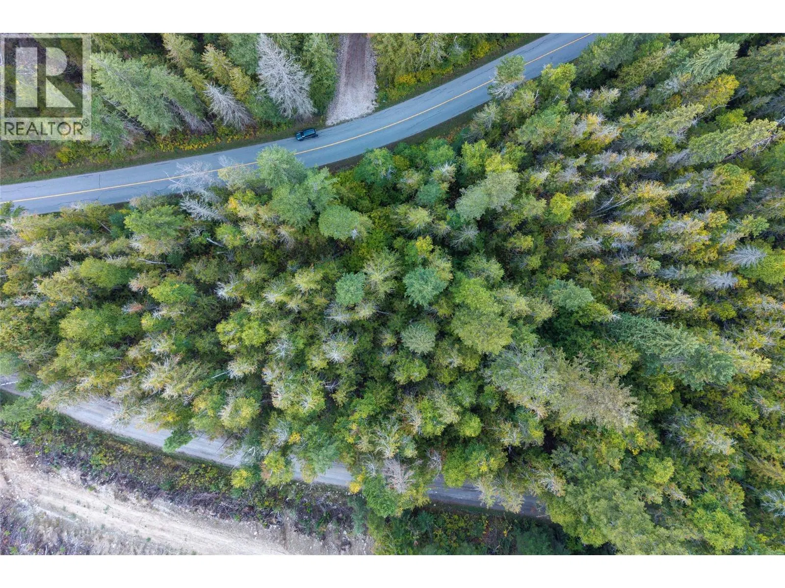 Photo 4 of 16 at 1937 Lumby Mabel Lake Road