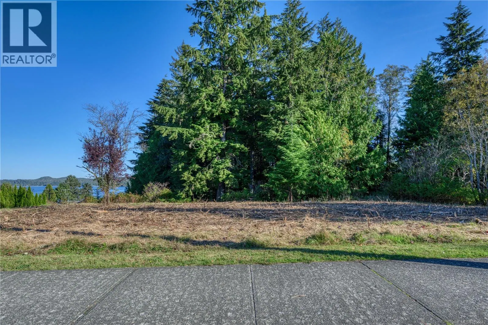 Photo 5 of 11 at 7195 Rupert Street