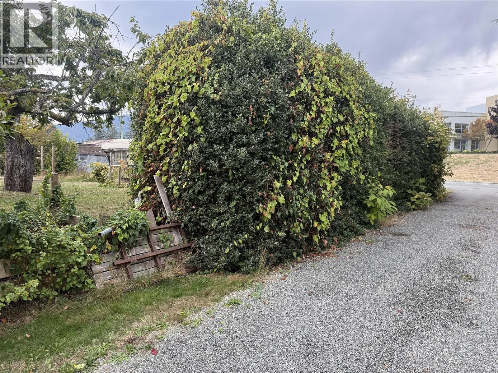 Photo 5 of 6 at 532 Buller Street