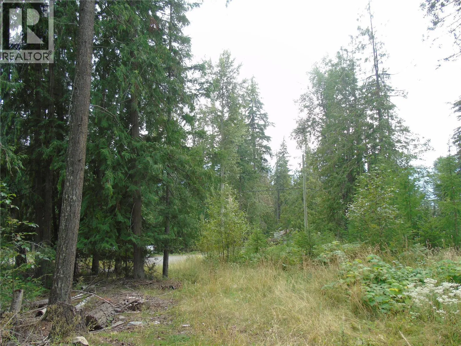 Photo 2 of 15 at Vickers Trail