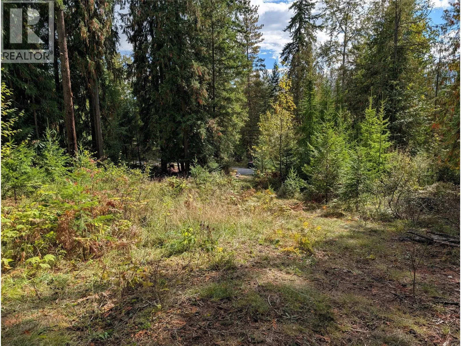 Photo 4 of 15 at Vickers Trail